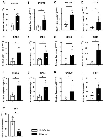 Generation of Cytotoxic T Cells and Dysfunctional CD8 T Cells in Severe ...