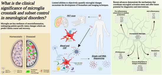 Cells | Free Full-Text | Cross-Talk and Subset Control of Microglia and ...