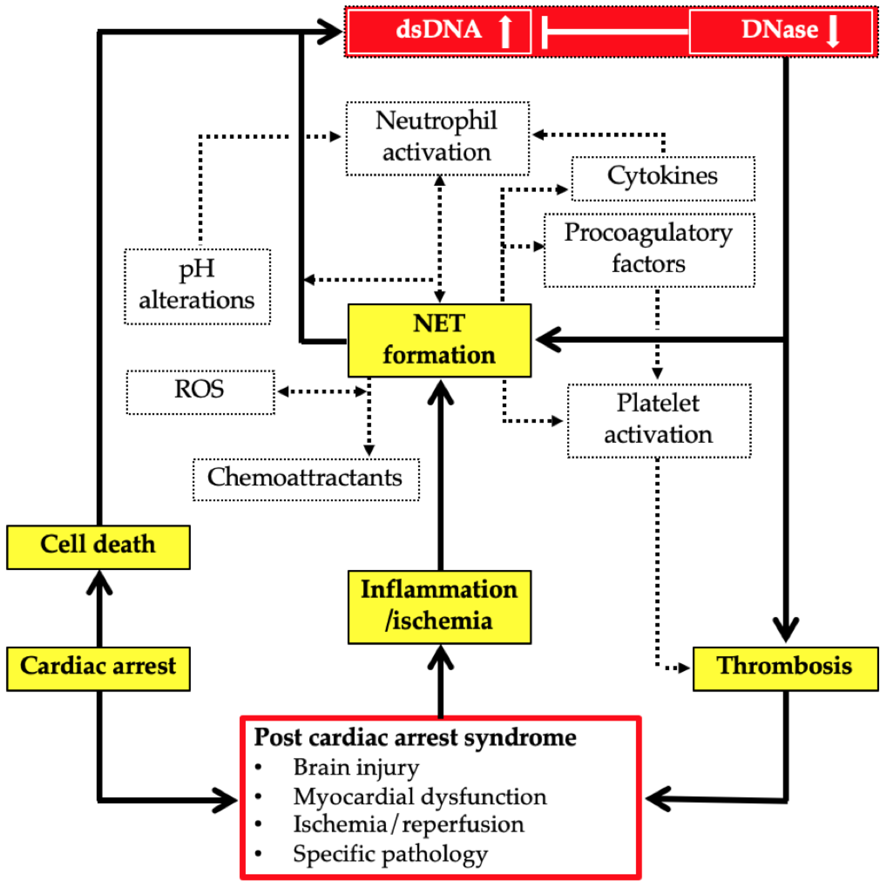 Cells 11 03367 g001 Cells 11 03367 g001