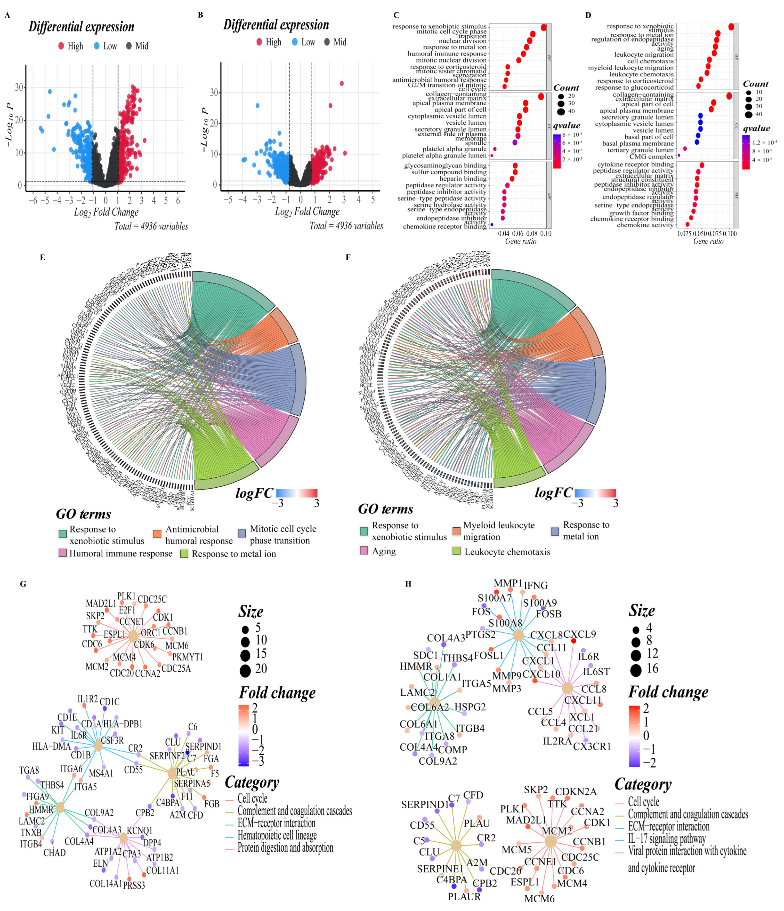 Cells 11 03371 g005 Cells 11 03371 g005