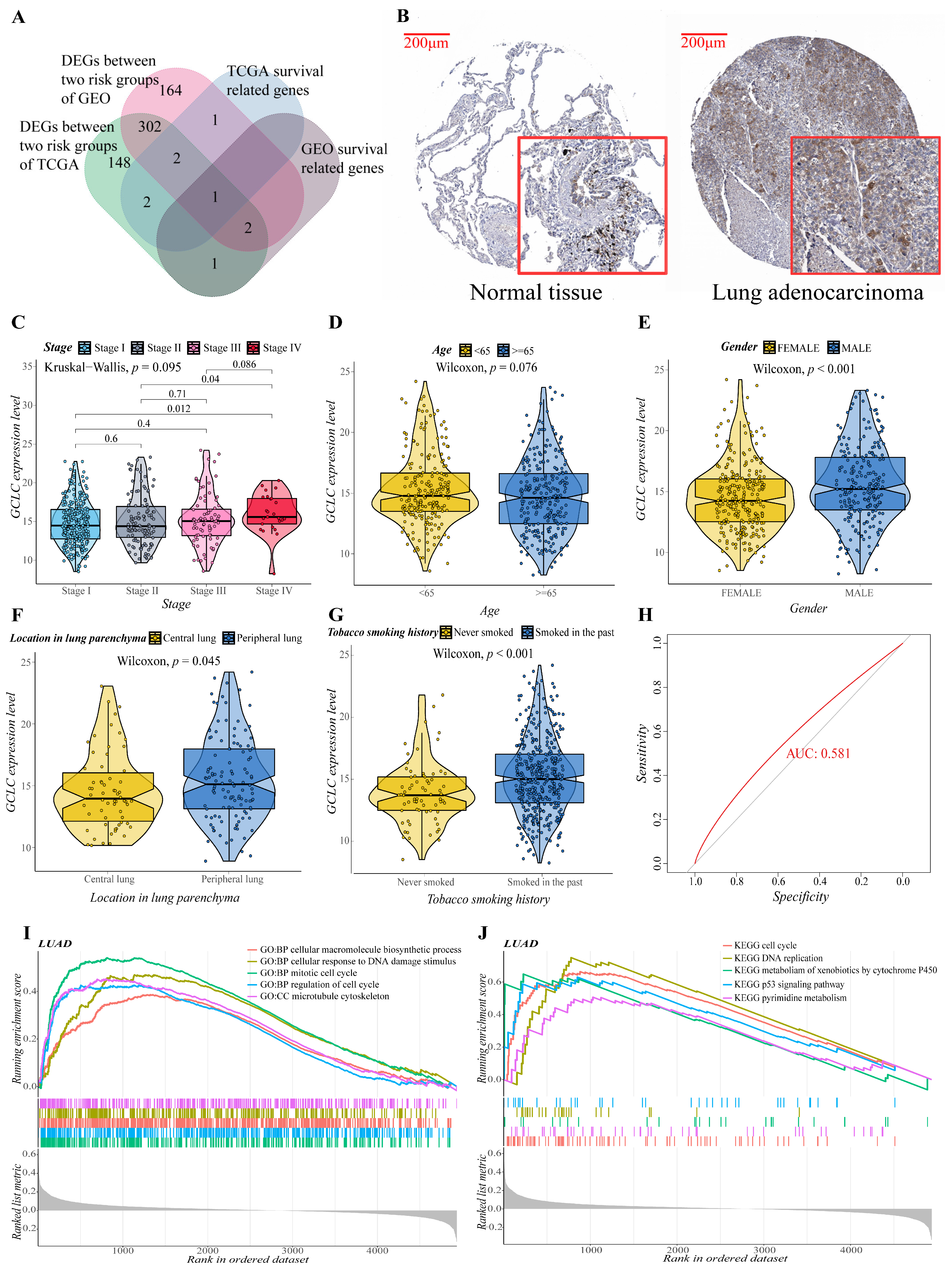 Cells 11 03371 g007 Cells 11 03371 g007