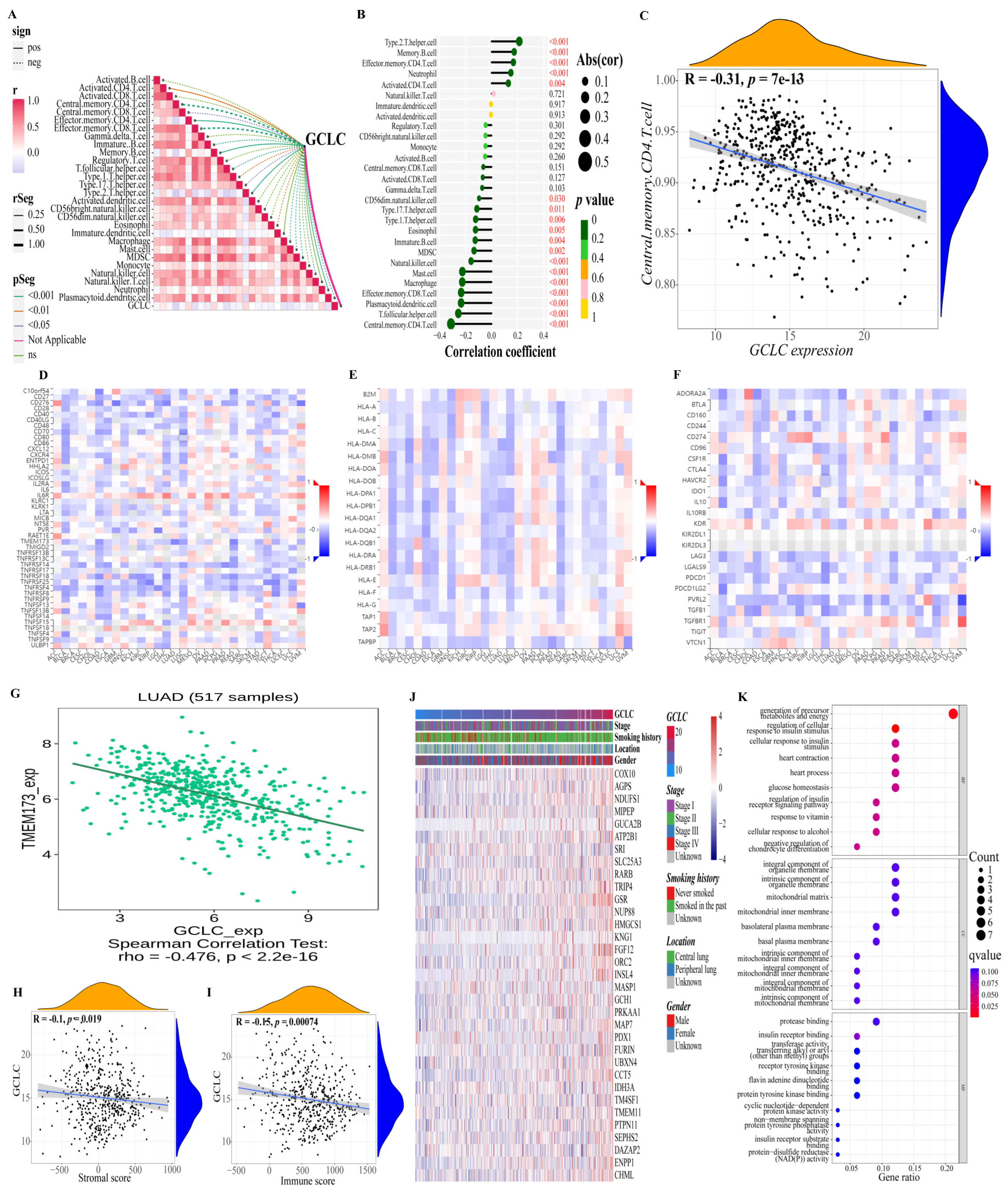 Cells 11 03371 g008 Cells 11 03371 g008