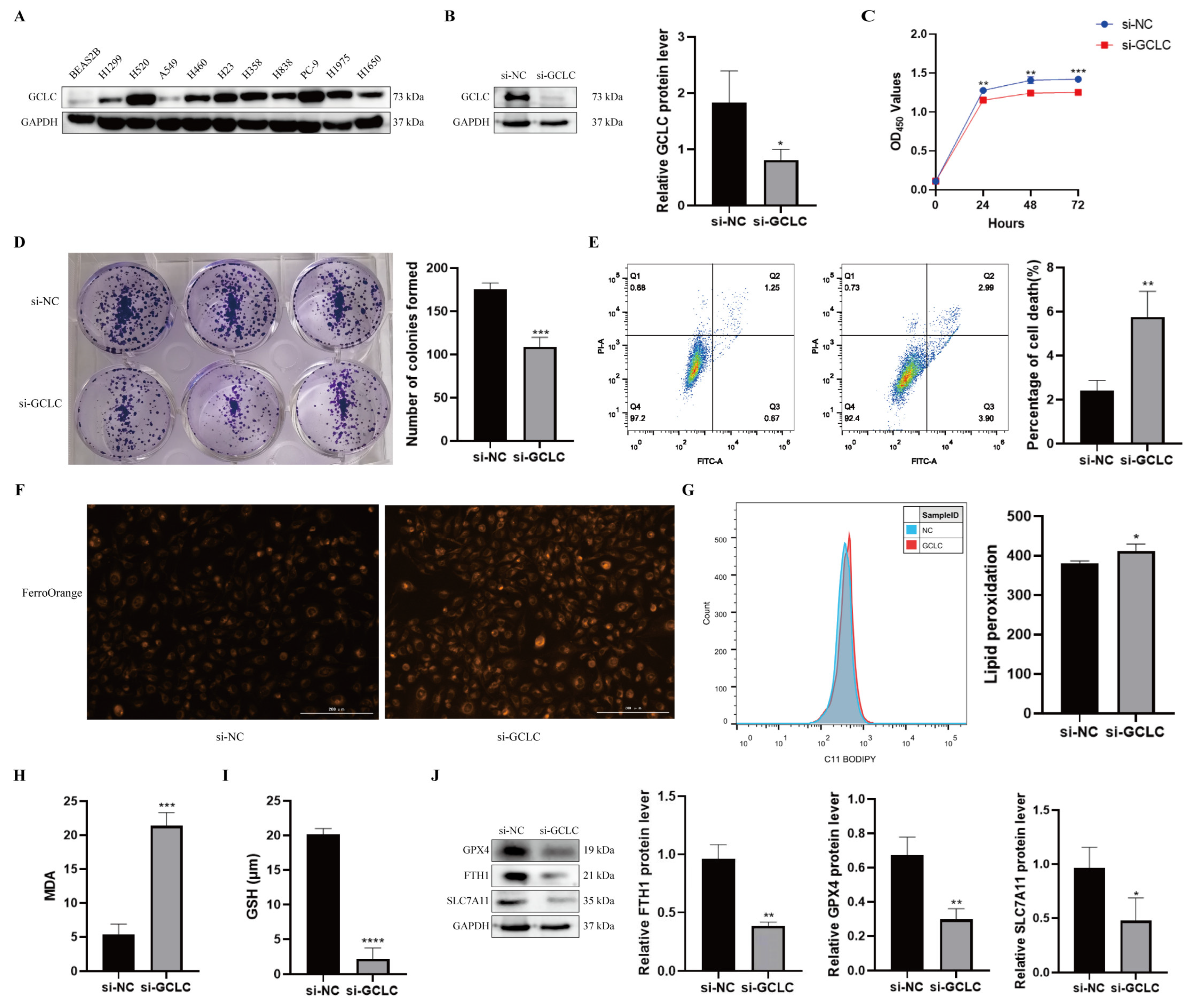 Cells 11 03371 g009 Cells 11 03371 g009