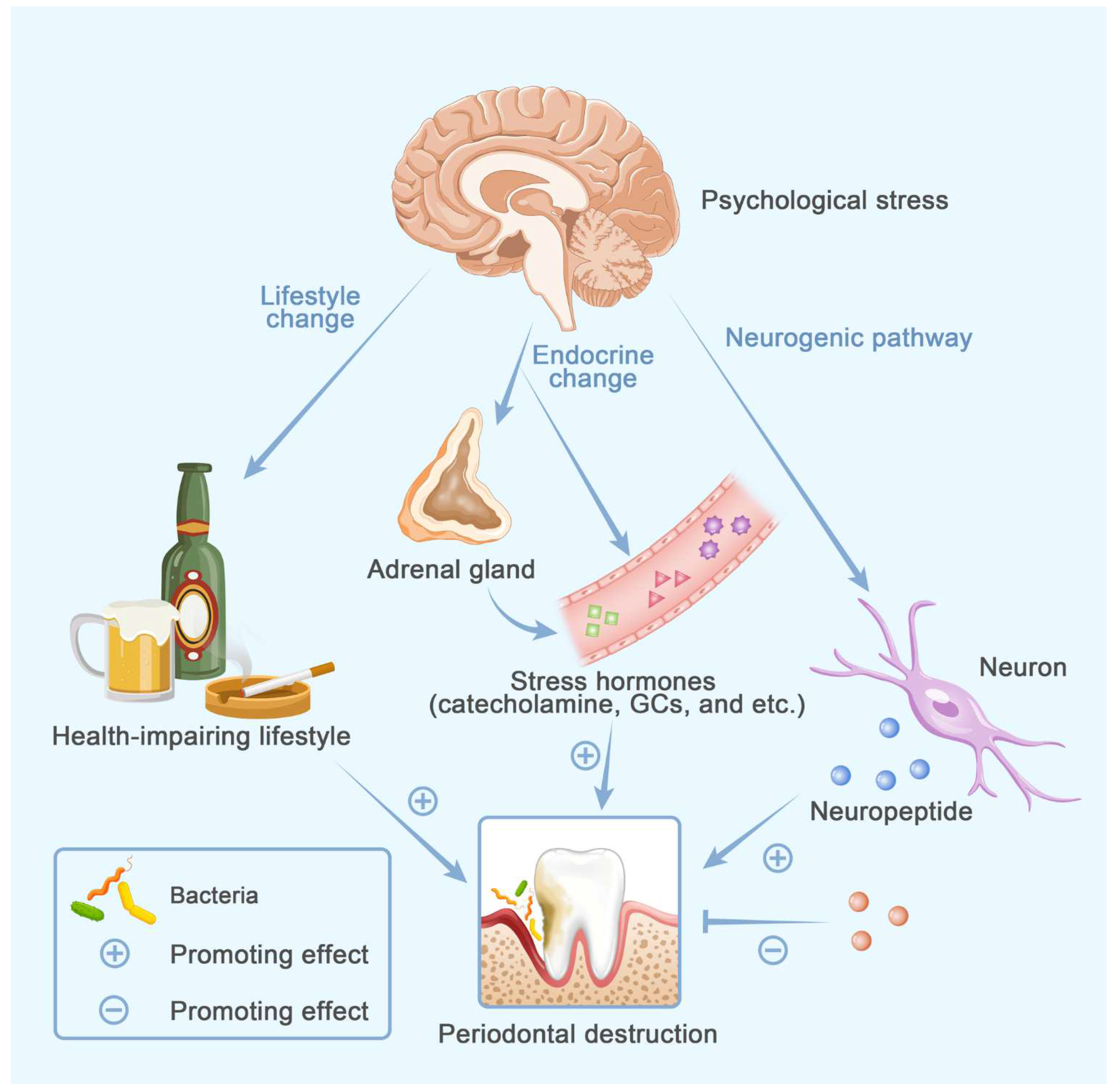 Cells 11 03380 g005 Cells 11 03380 g005