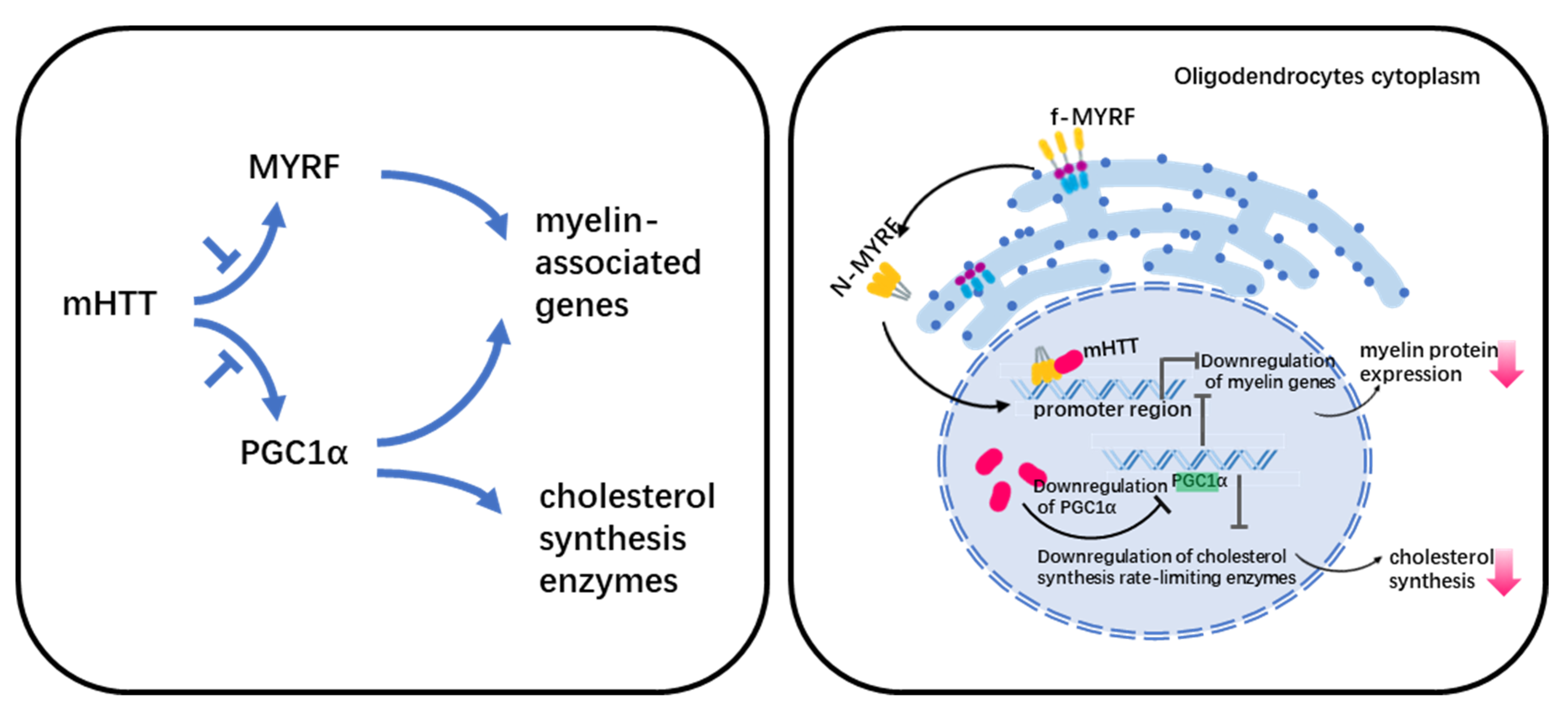 Cells 11 03381 g001 Cells 11 03381 g001