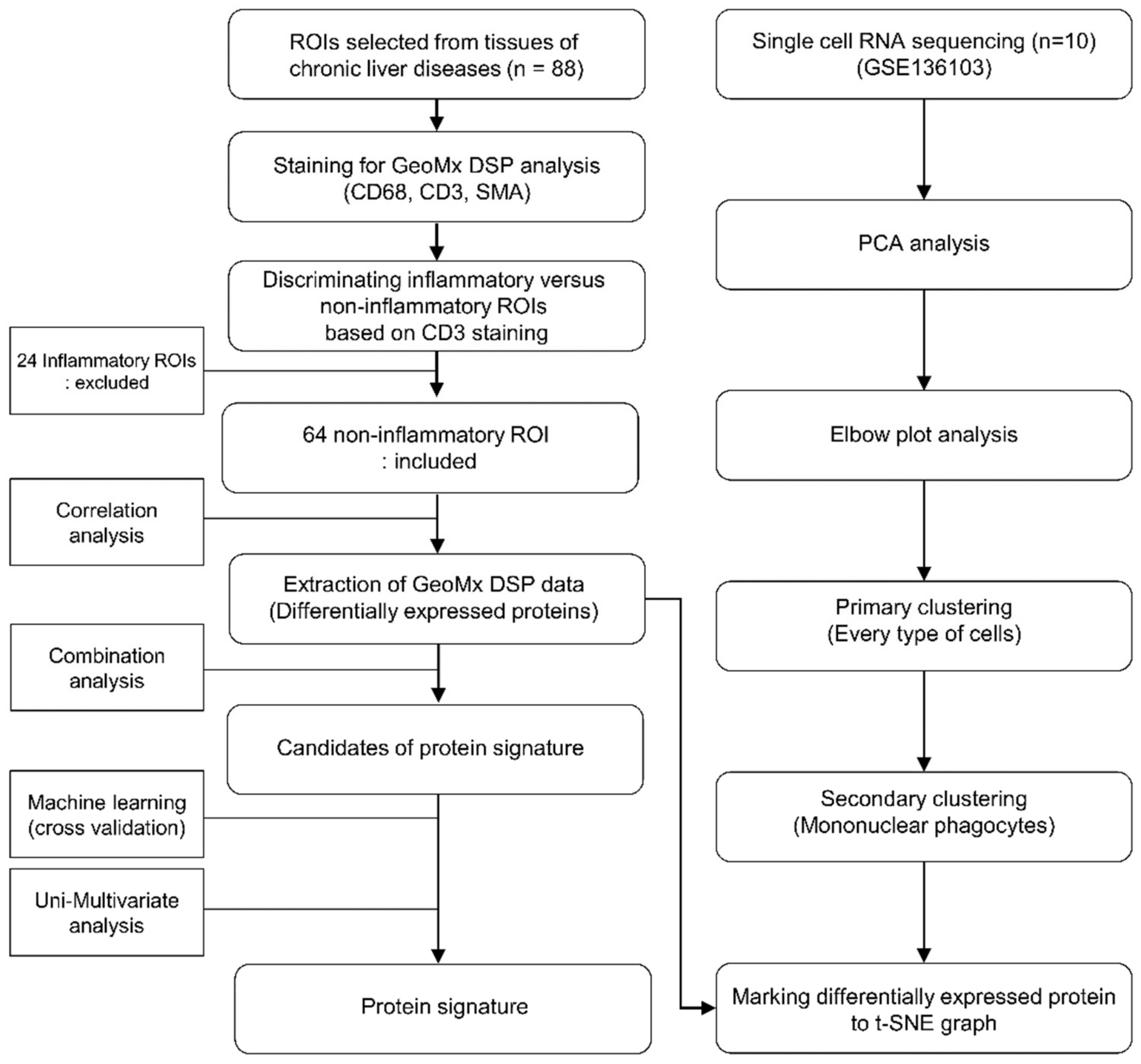Cells 11 03387 g001 Cells 11 03387 g001