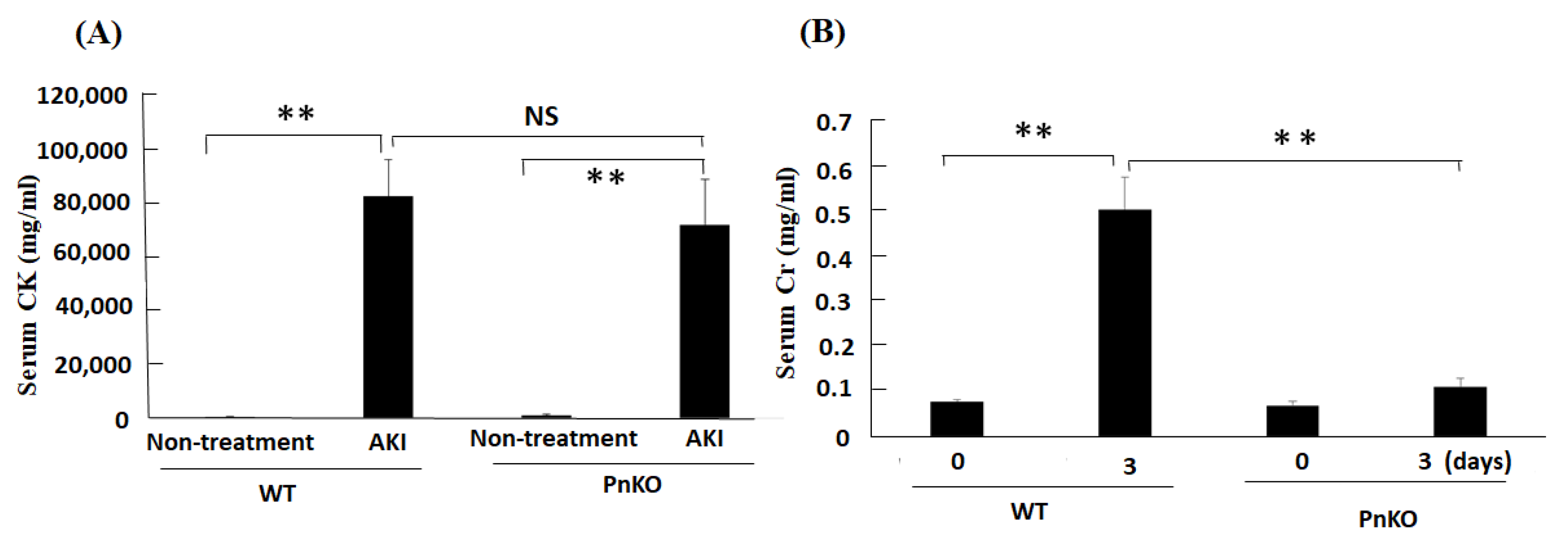 Cells 11 03388 g003 Cells 11 03388 g003