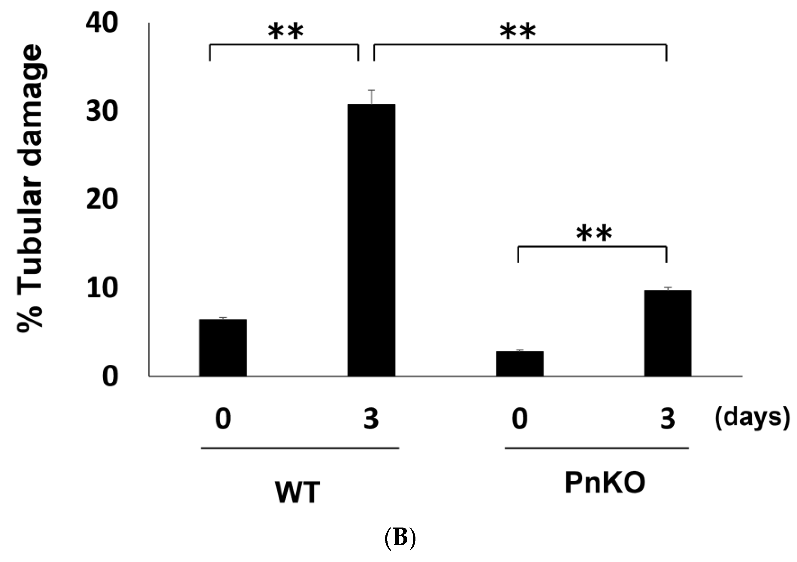 Cells 11 03388 g004b Cells 11 03388 g004b