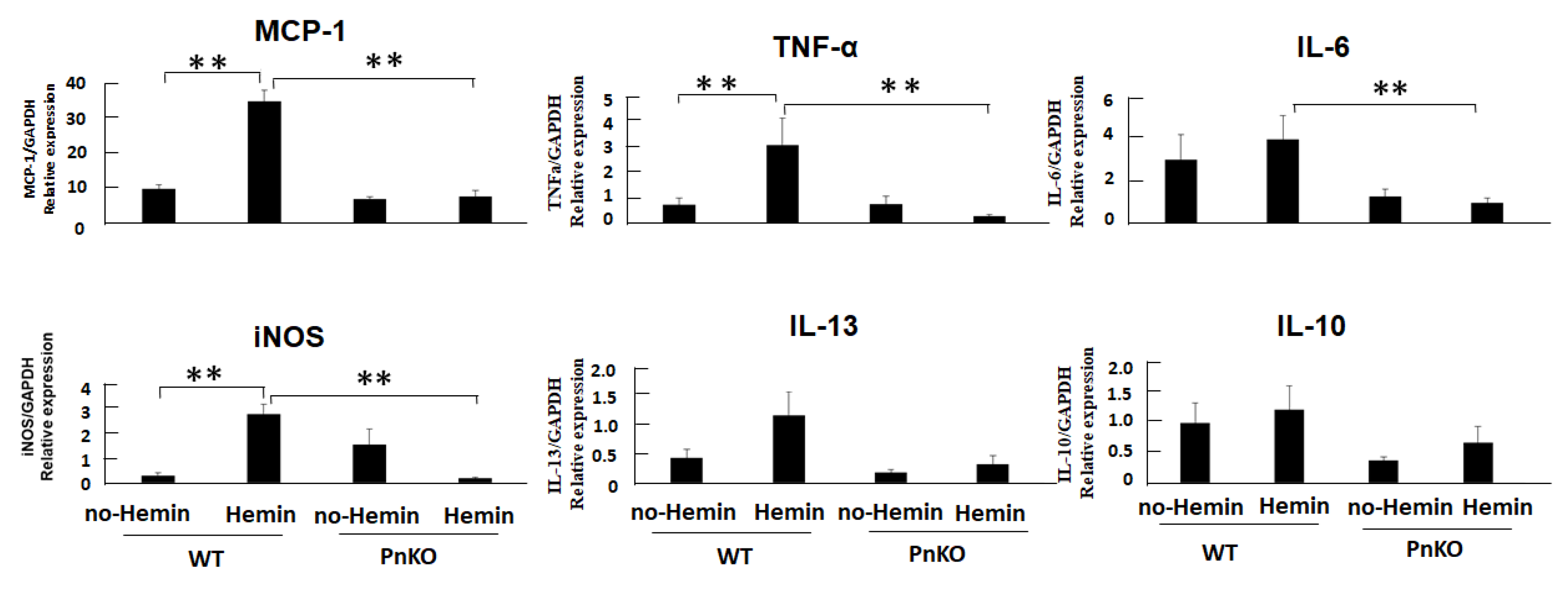 Cells 11 03388 g006 Cells 11 03388 g006