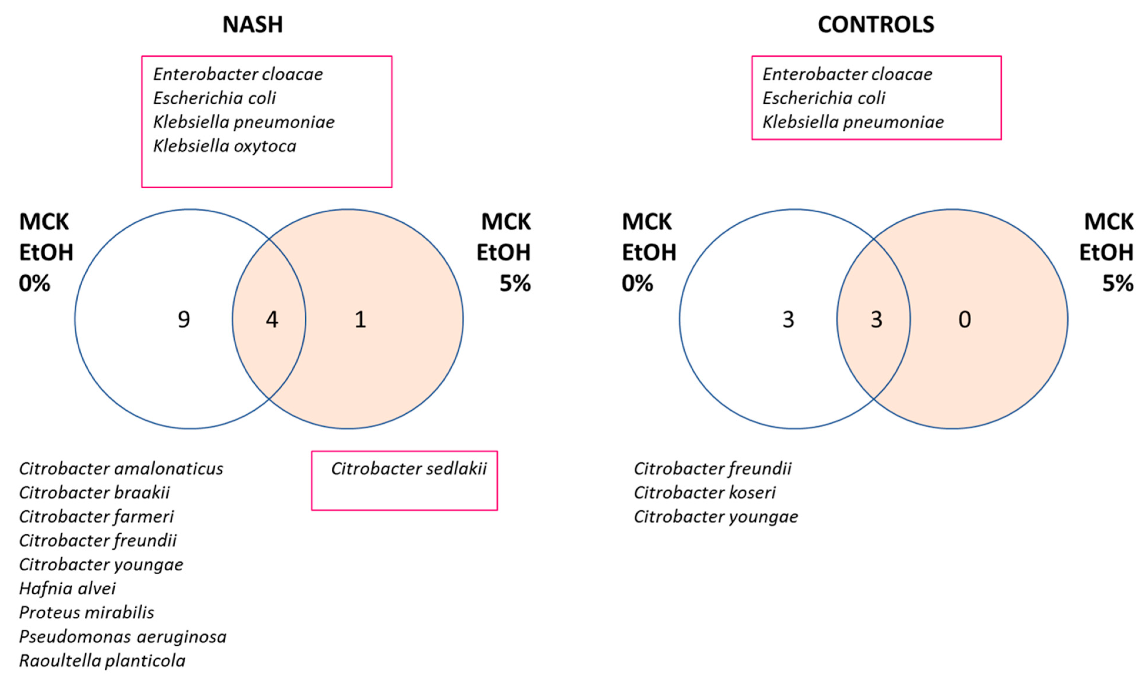 Cells 11 03390 g003 Cells 11 03390 g003