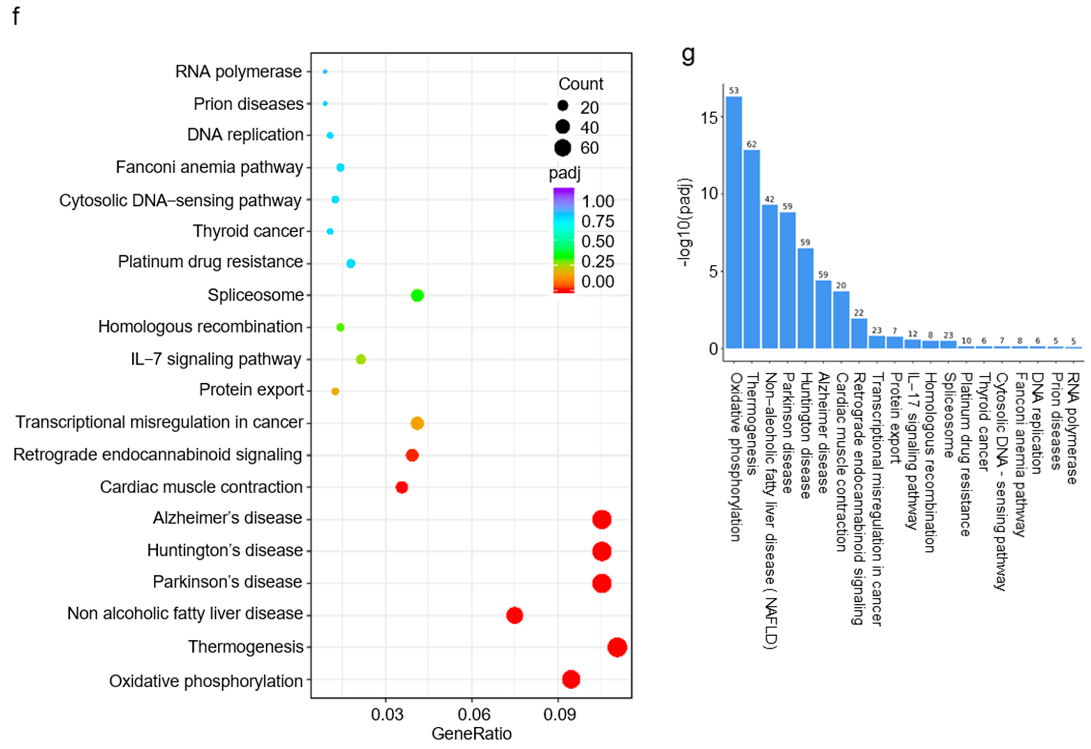 Cells 11 03396 g003c