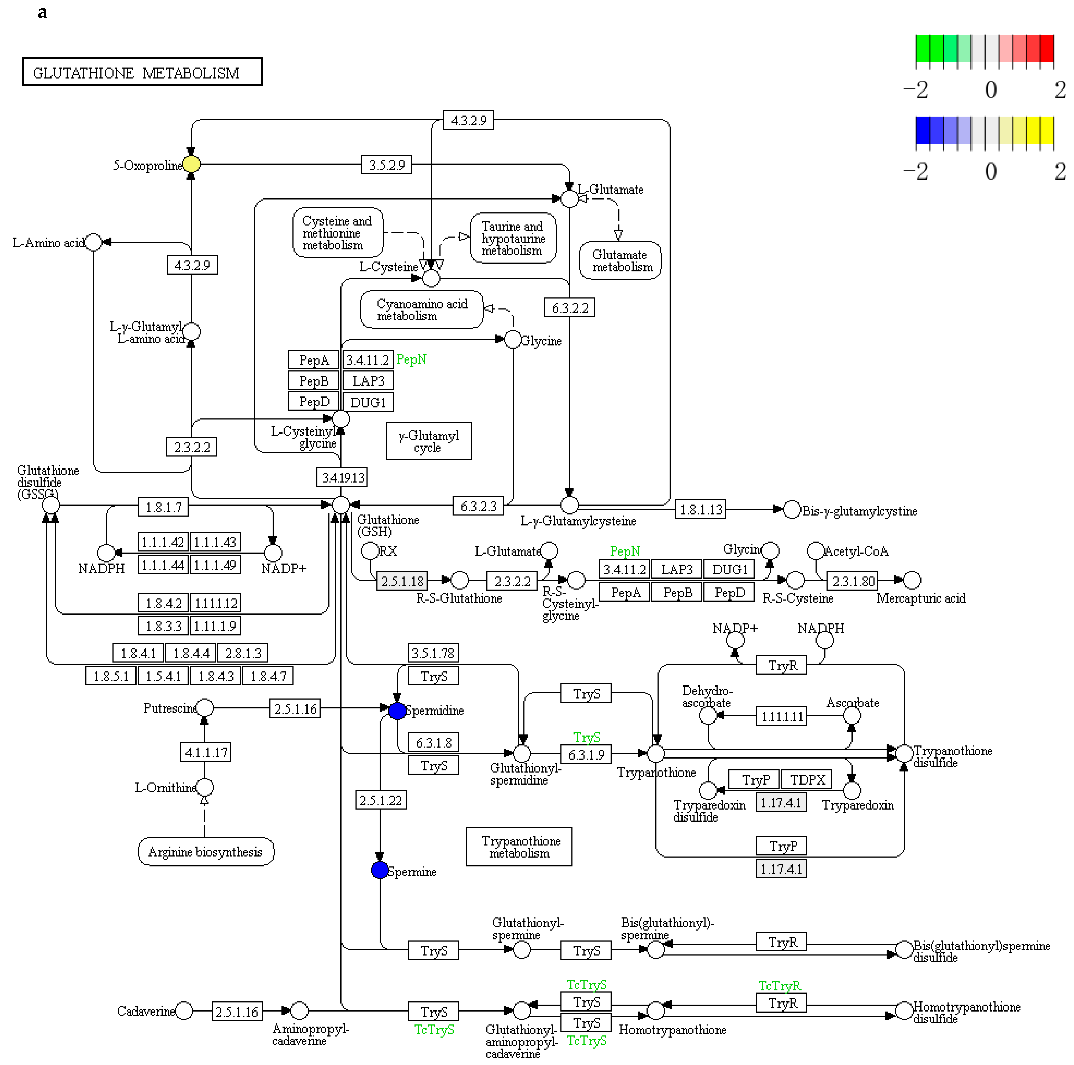 Cells 11 03396 g006a