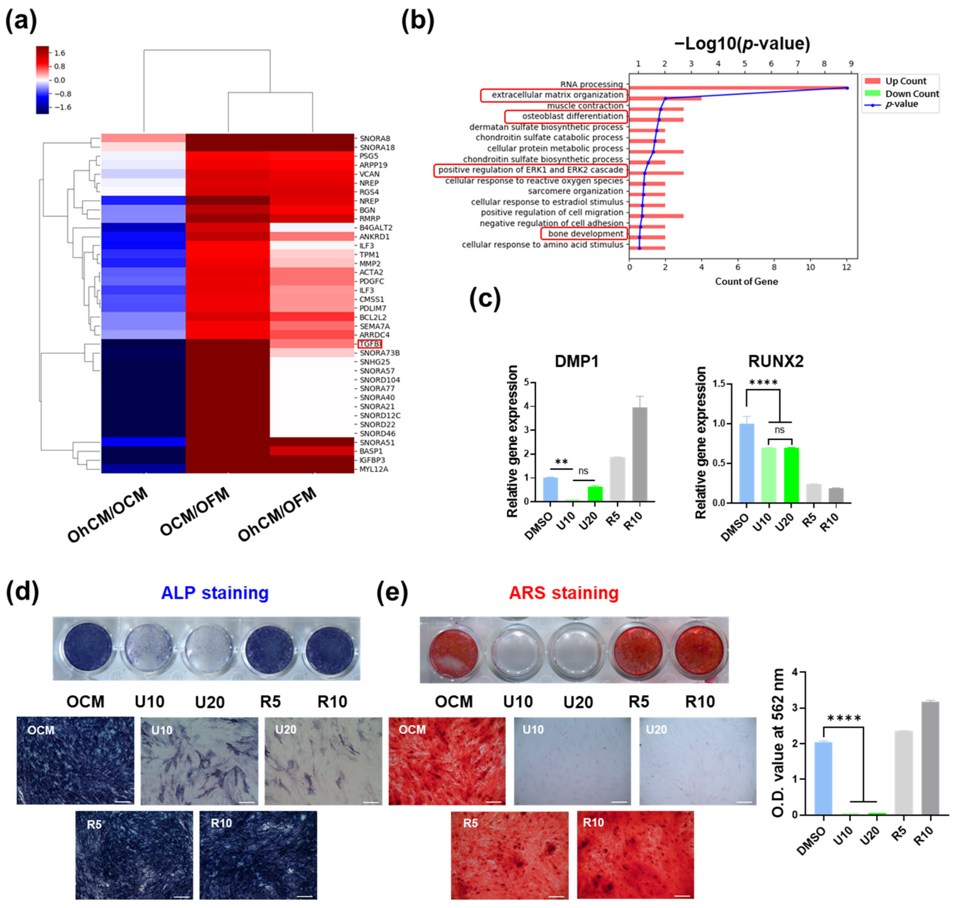 Cells 11 03398 g005 550