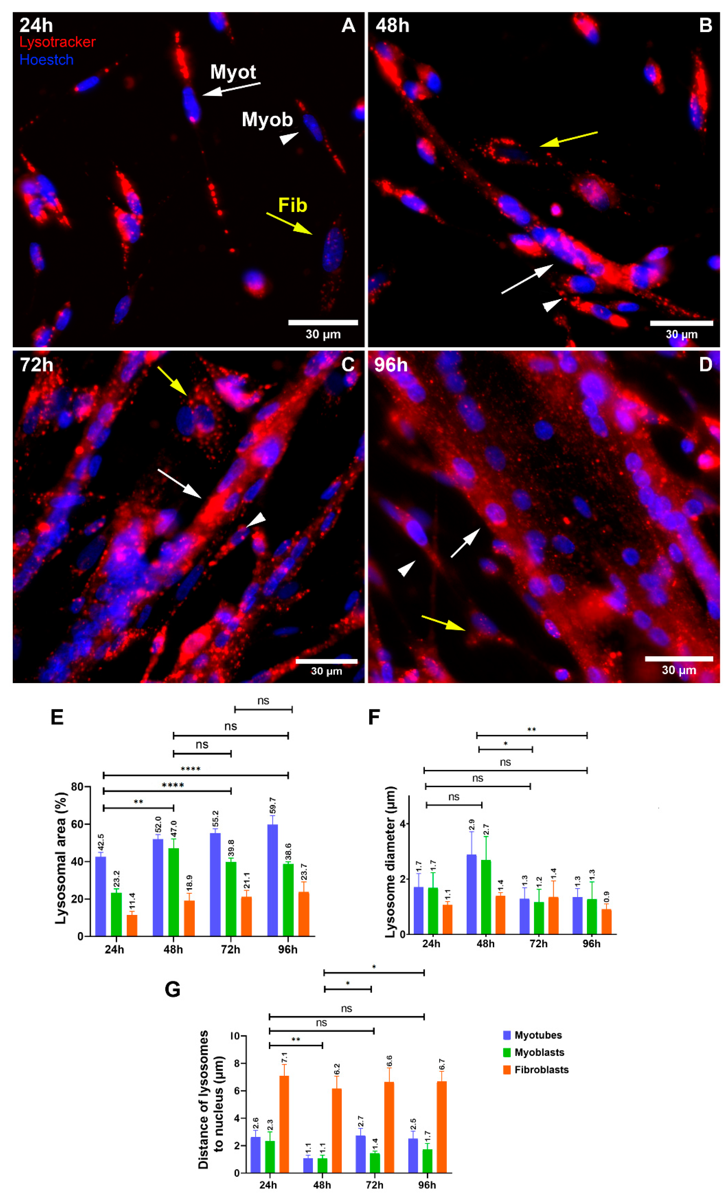 Cells 11 03402 g001 550