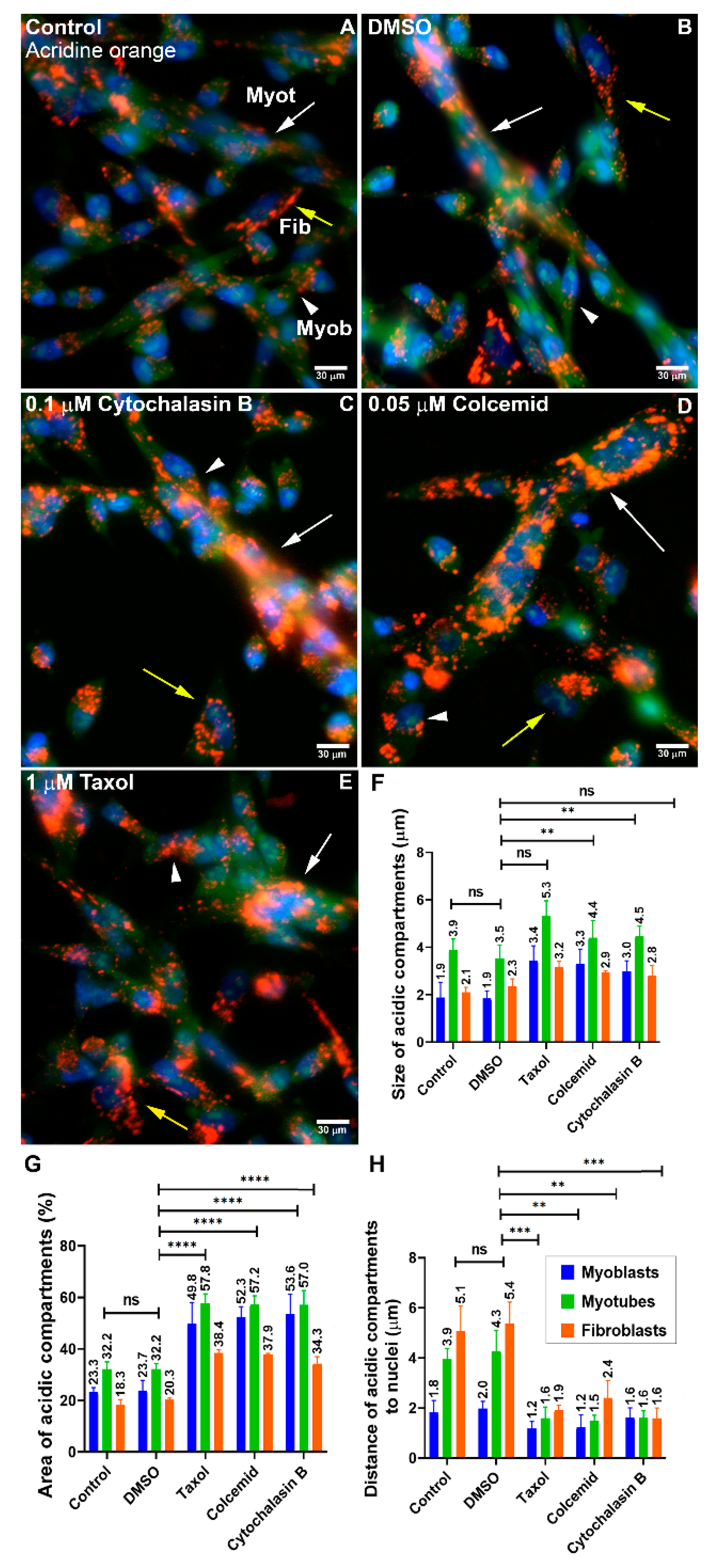 Cells 11 03402 g003 550