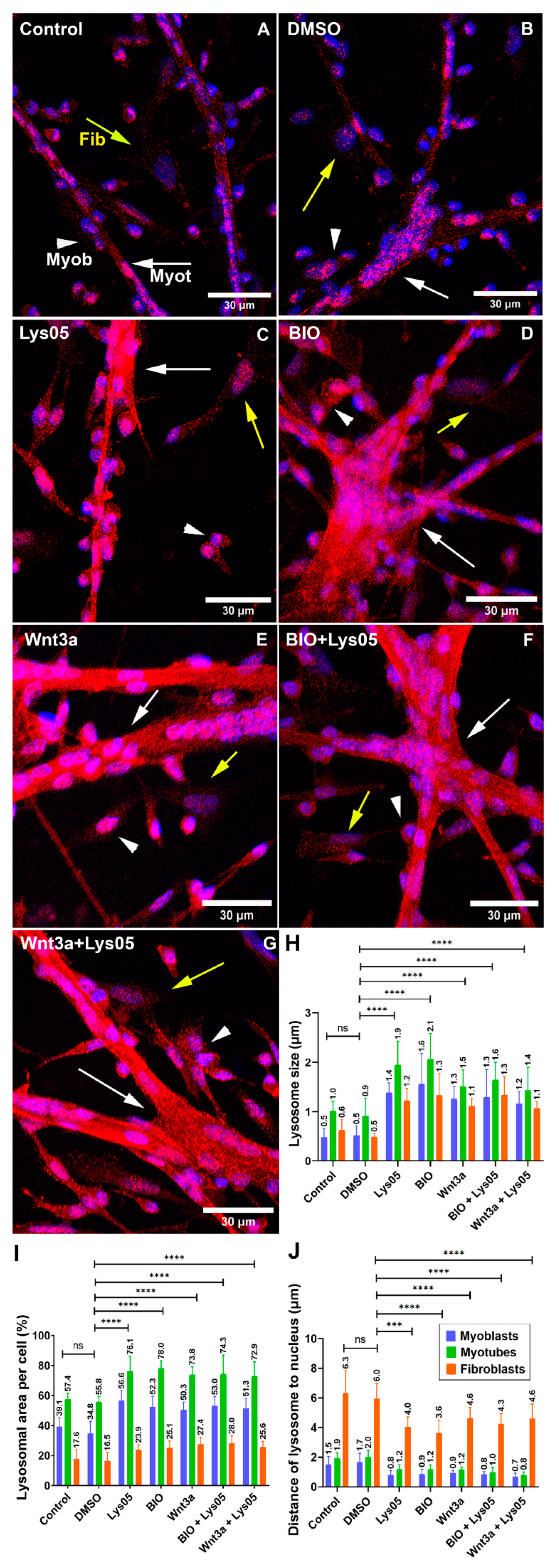Cells 11 03402 g004 550