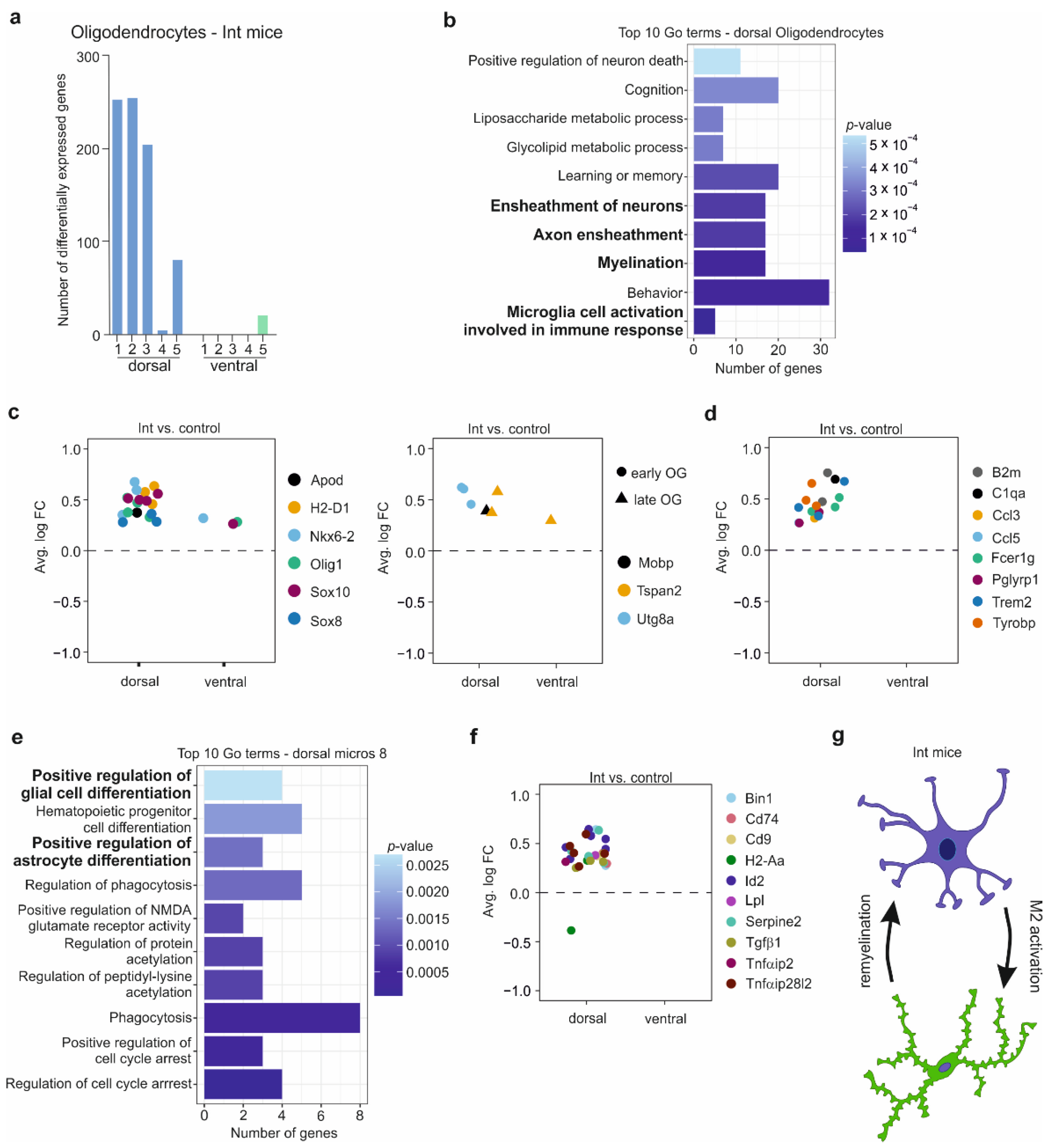 Cells 11 03405 g004 Cells 11 03405 g004