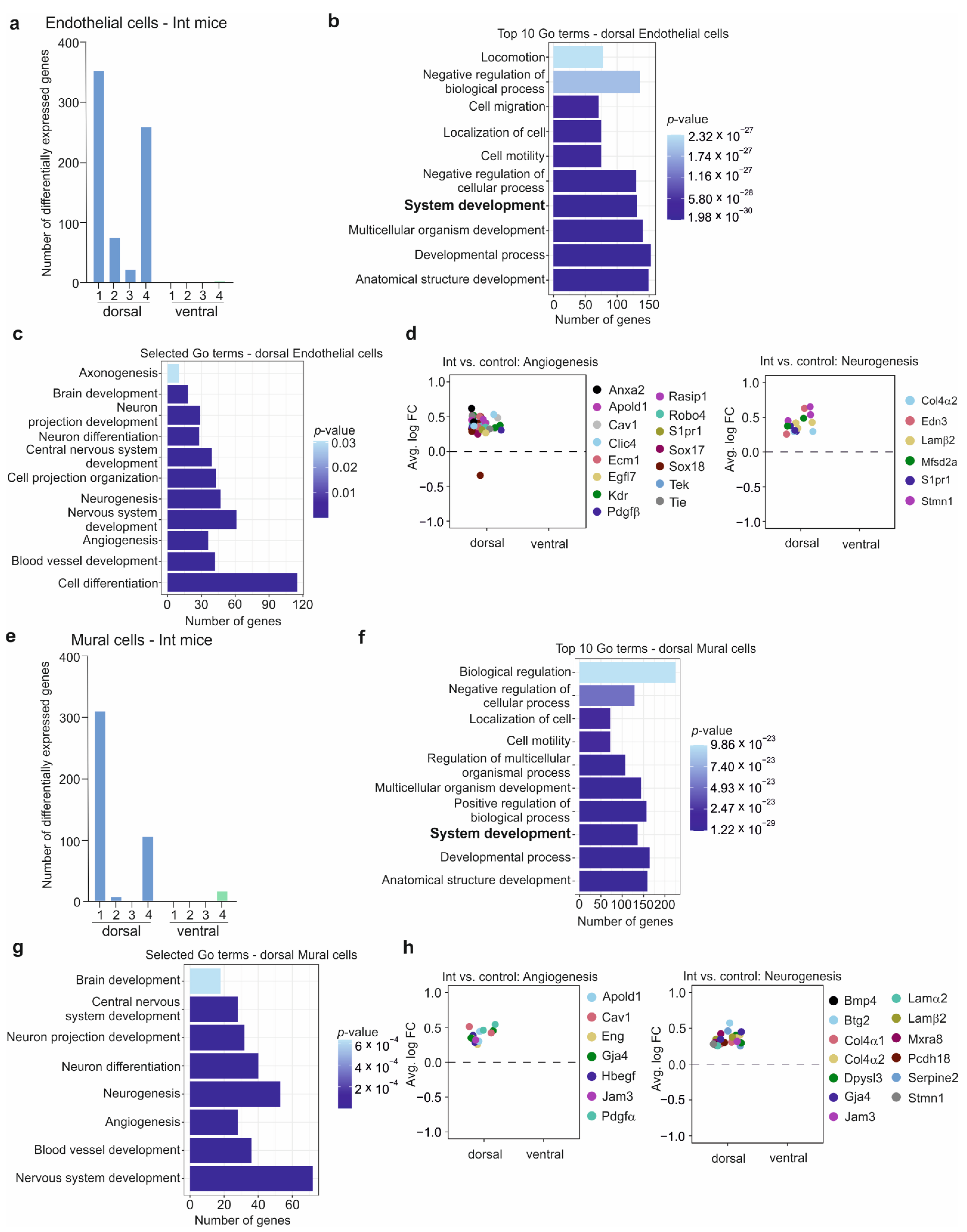 Cells 11 03405 g005 Cells 11 03405 g005