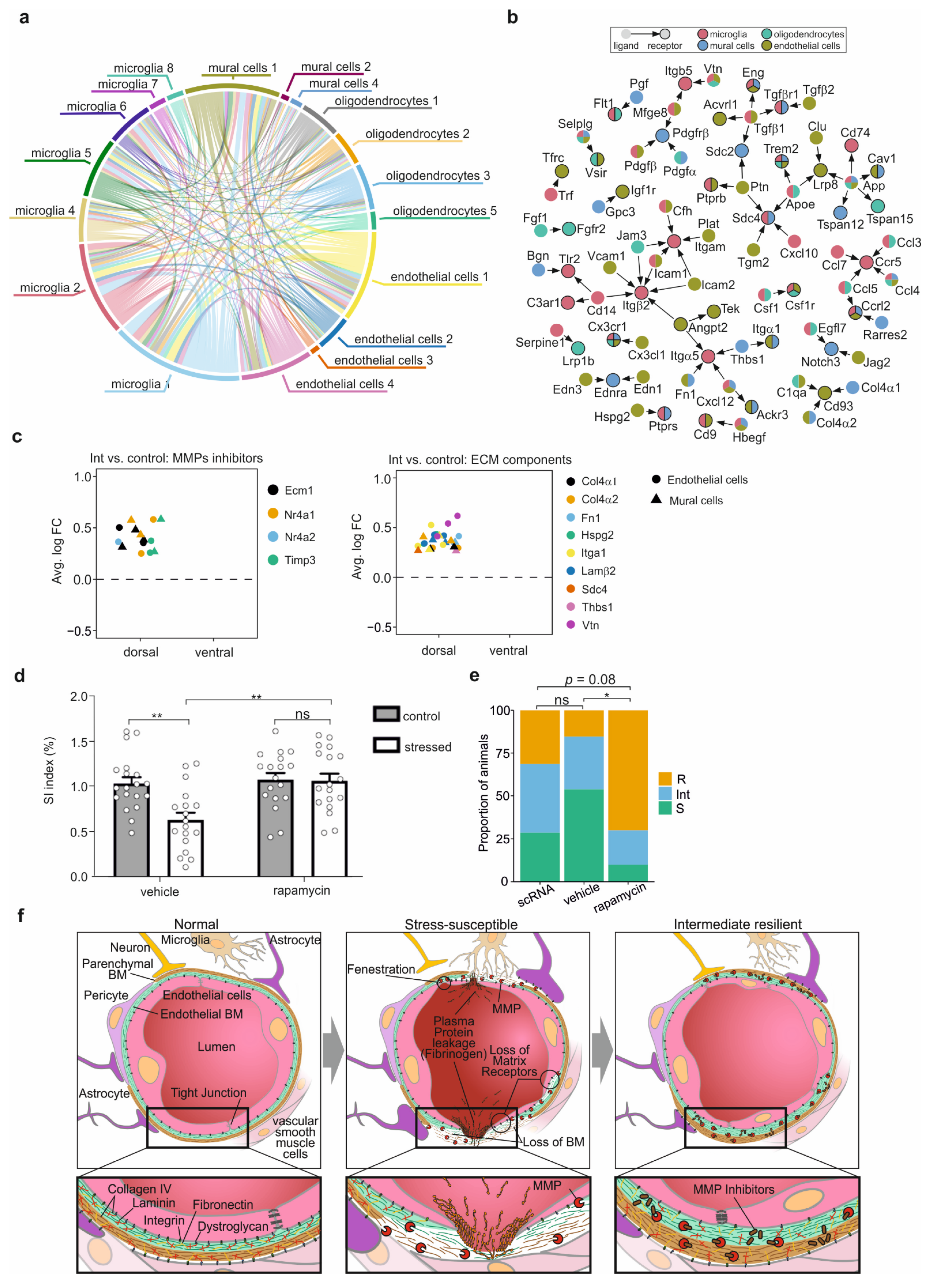 Cells 11 03405 g006 Cells 11 03405 g006