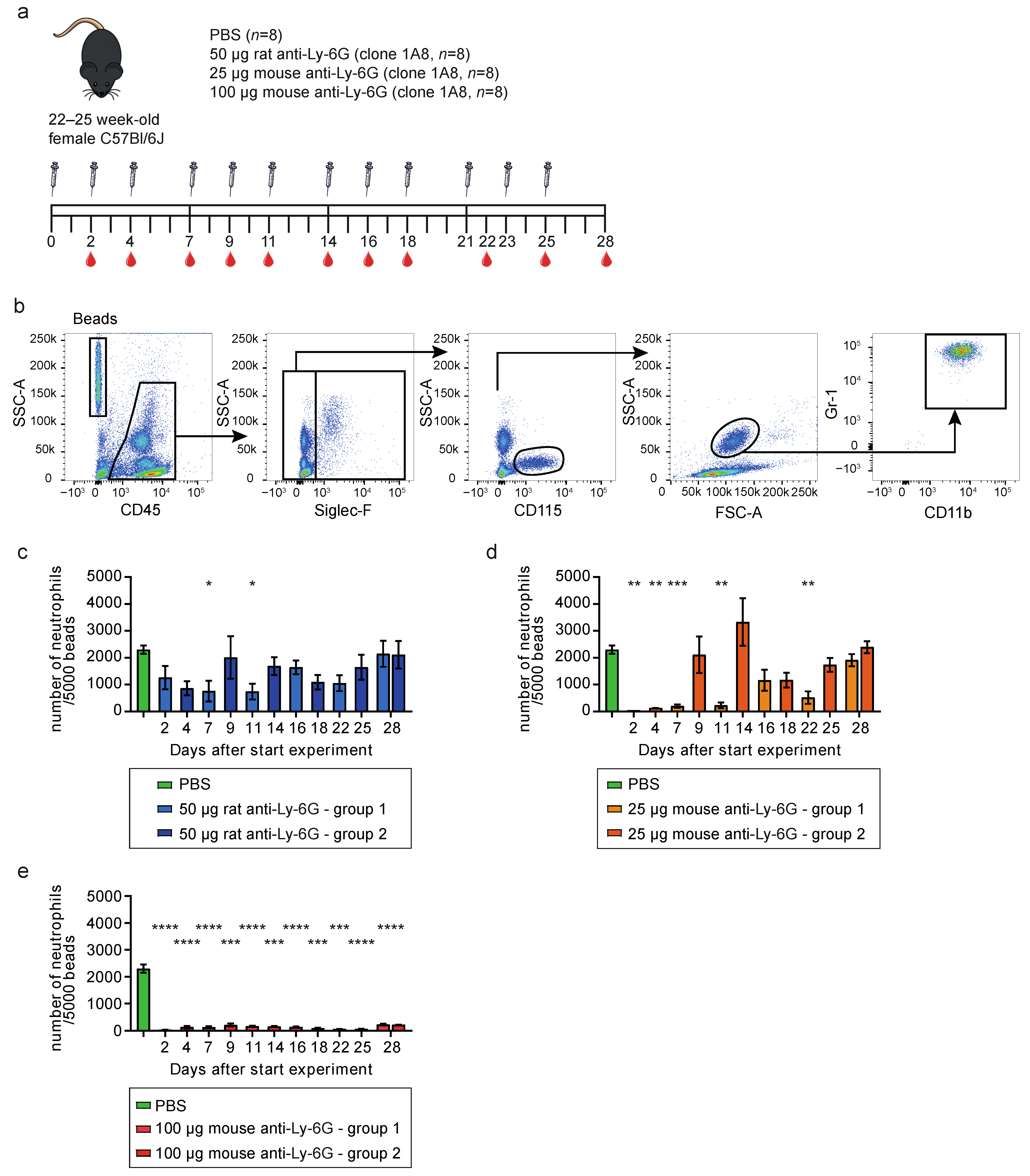 Cells 11 03406 g001 Cells 11 03406 g001