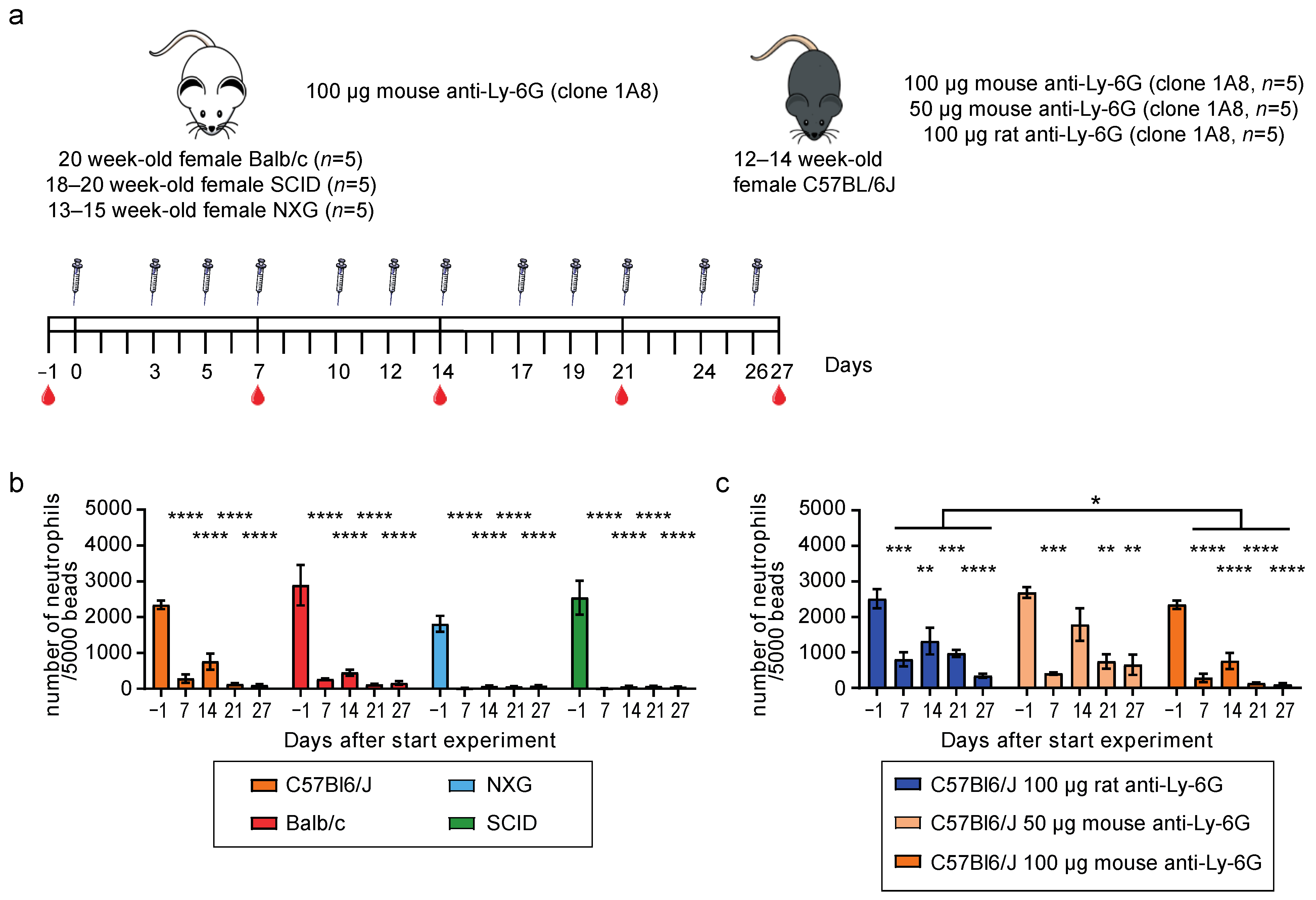 Cells 11 03406 g002 Cells 11 03406 g002