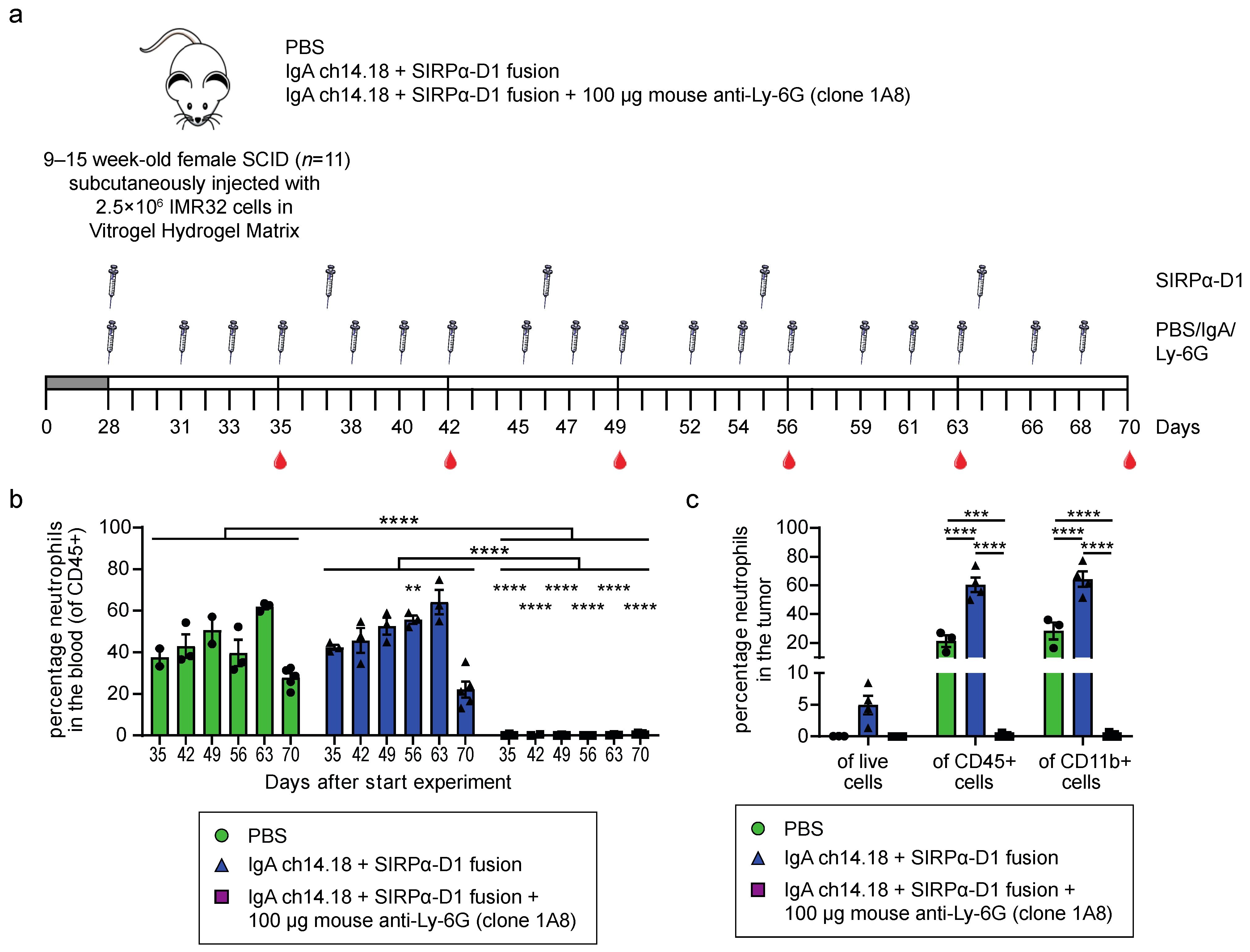 Cells 11 03406 g003 Cells 11 03406 g003