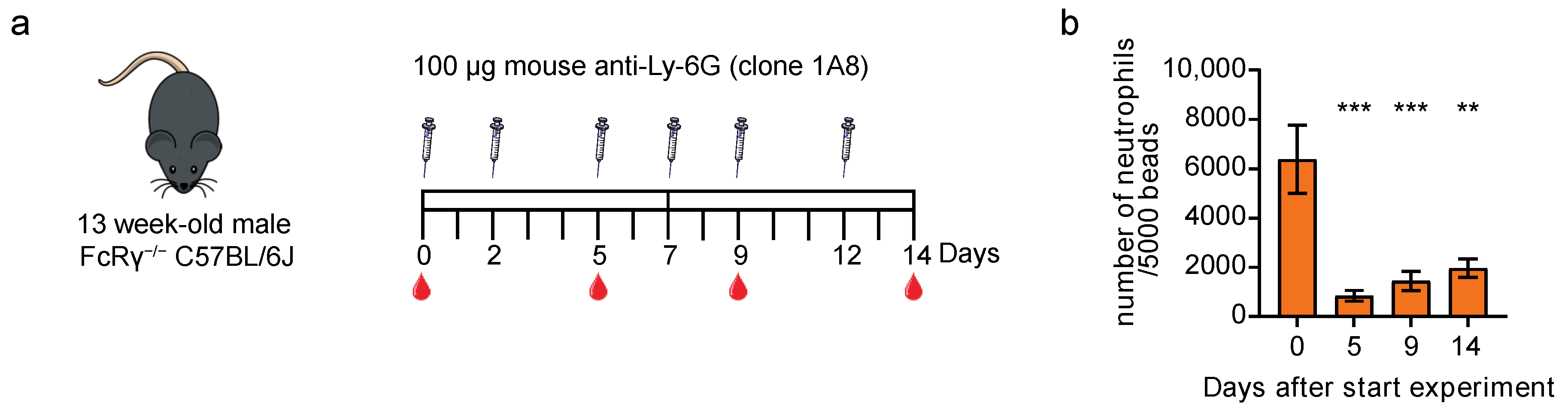 Cells 11 03406 g004 Cells 11 03406 g004