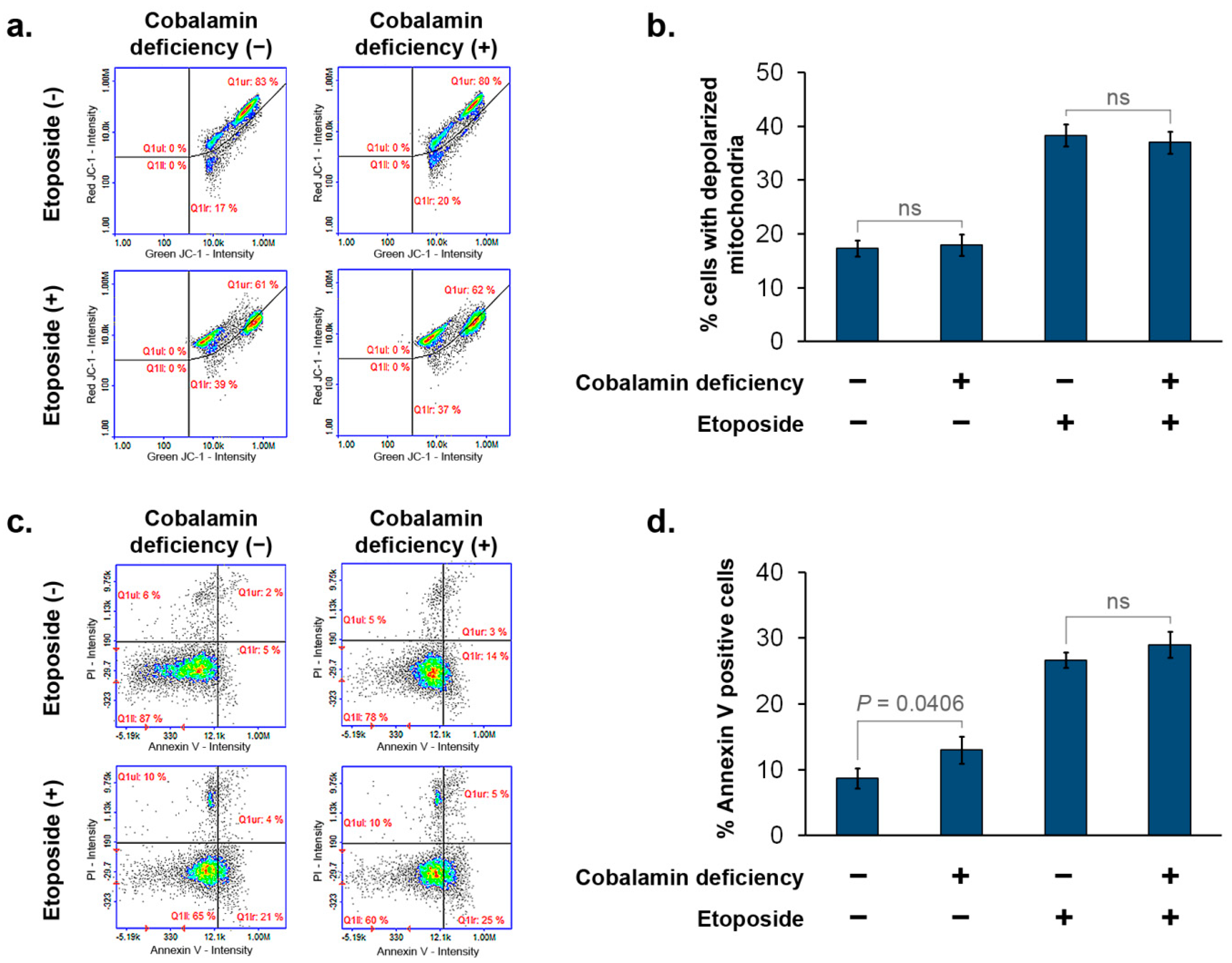 Cells 11 03408 g005 Cells 11 03408 g005
