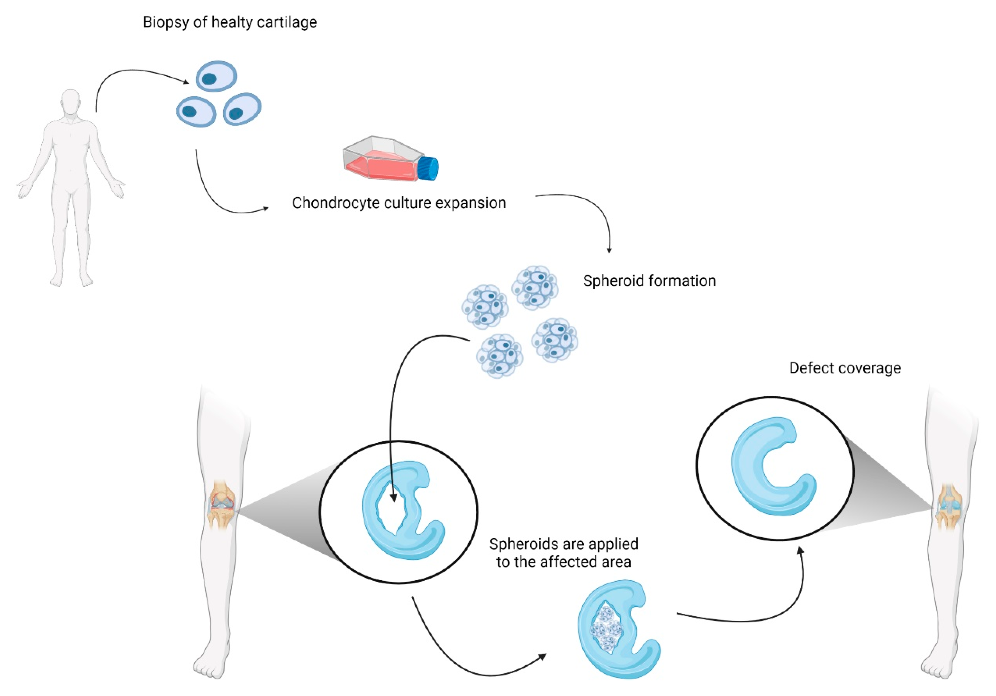 Cells 11 03410 g004 Cells 11 03410 g004