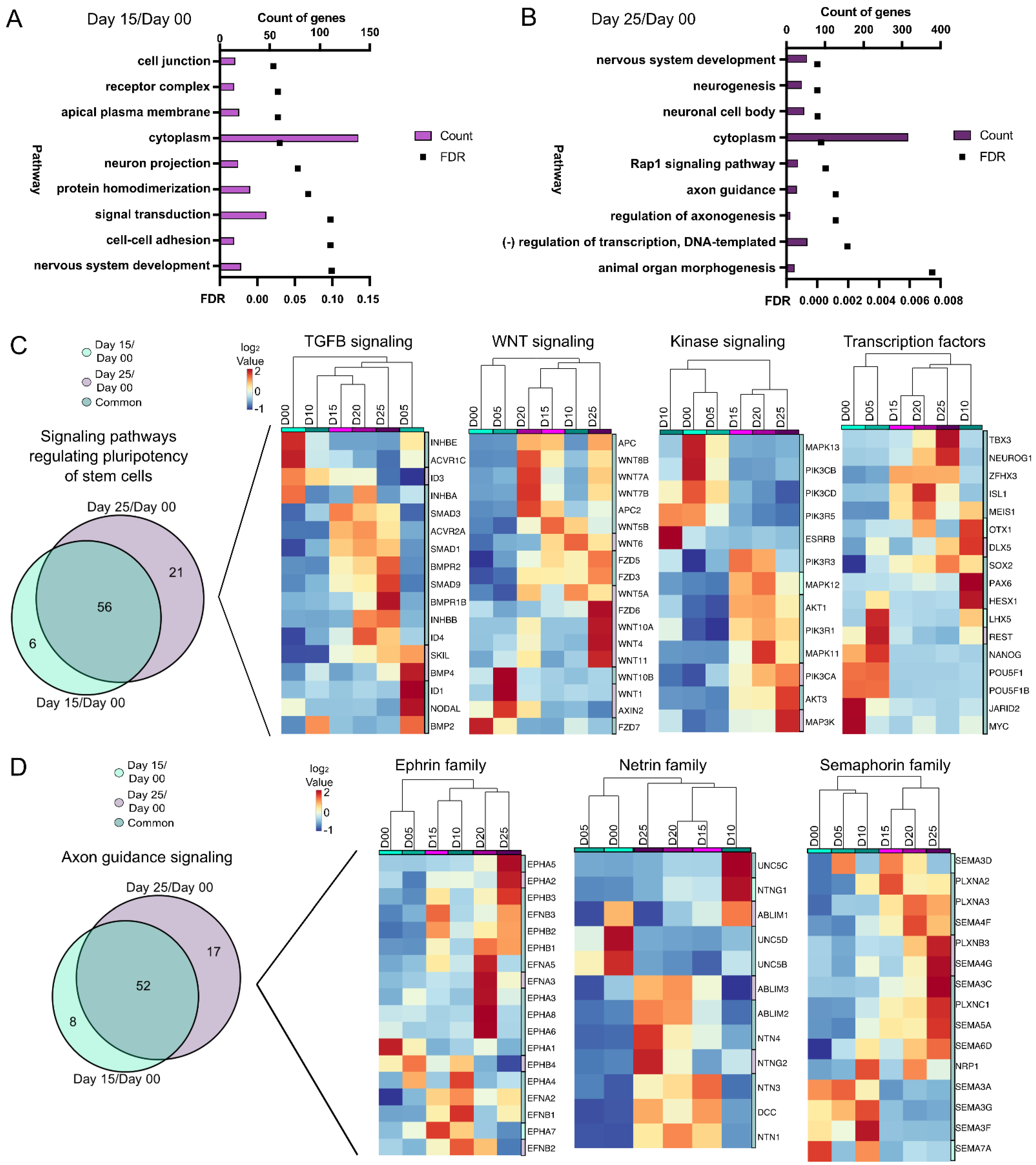 Cells 11 03412 g003 Cells 11 03412 g003