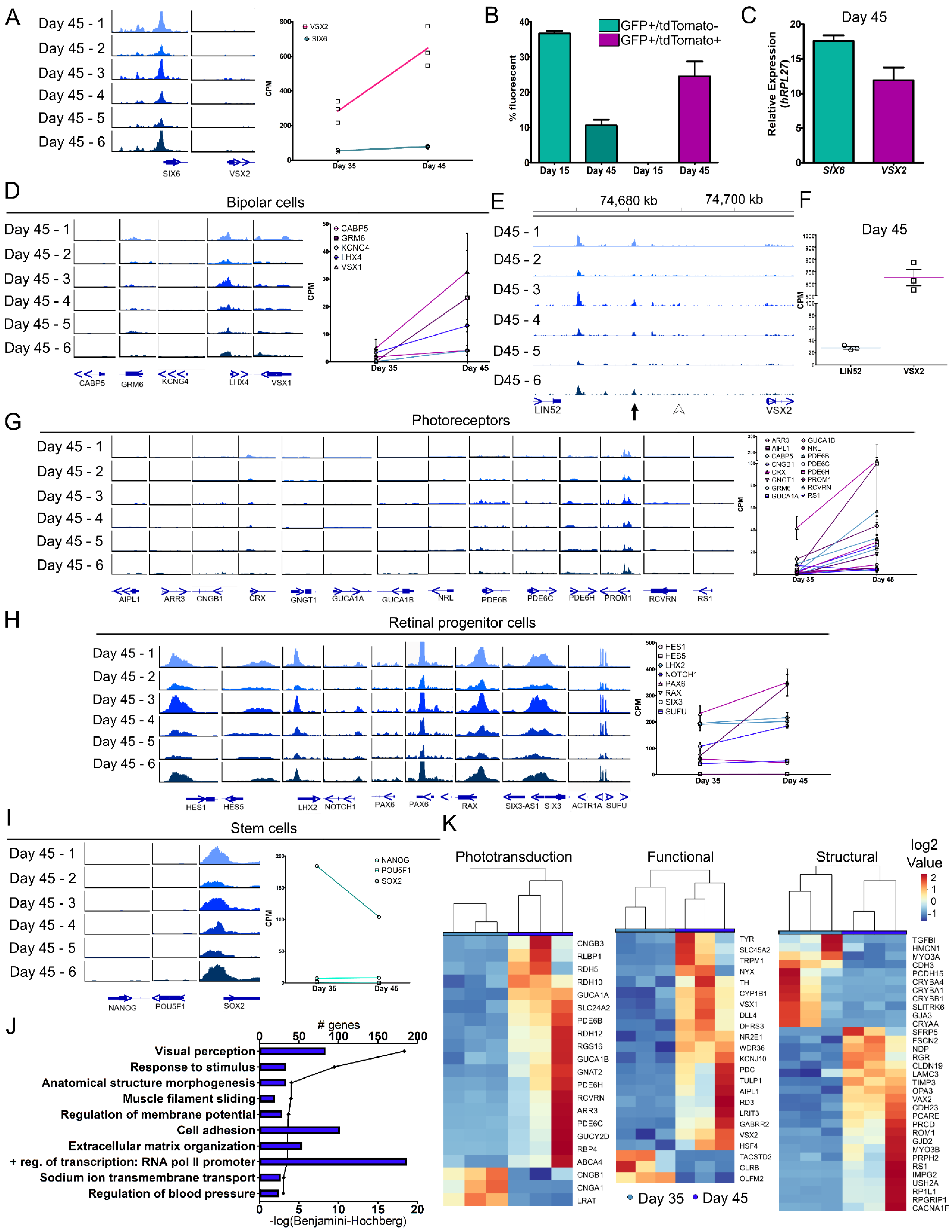 Cells 11 03412 g004 Cells 11 03412 g004