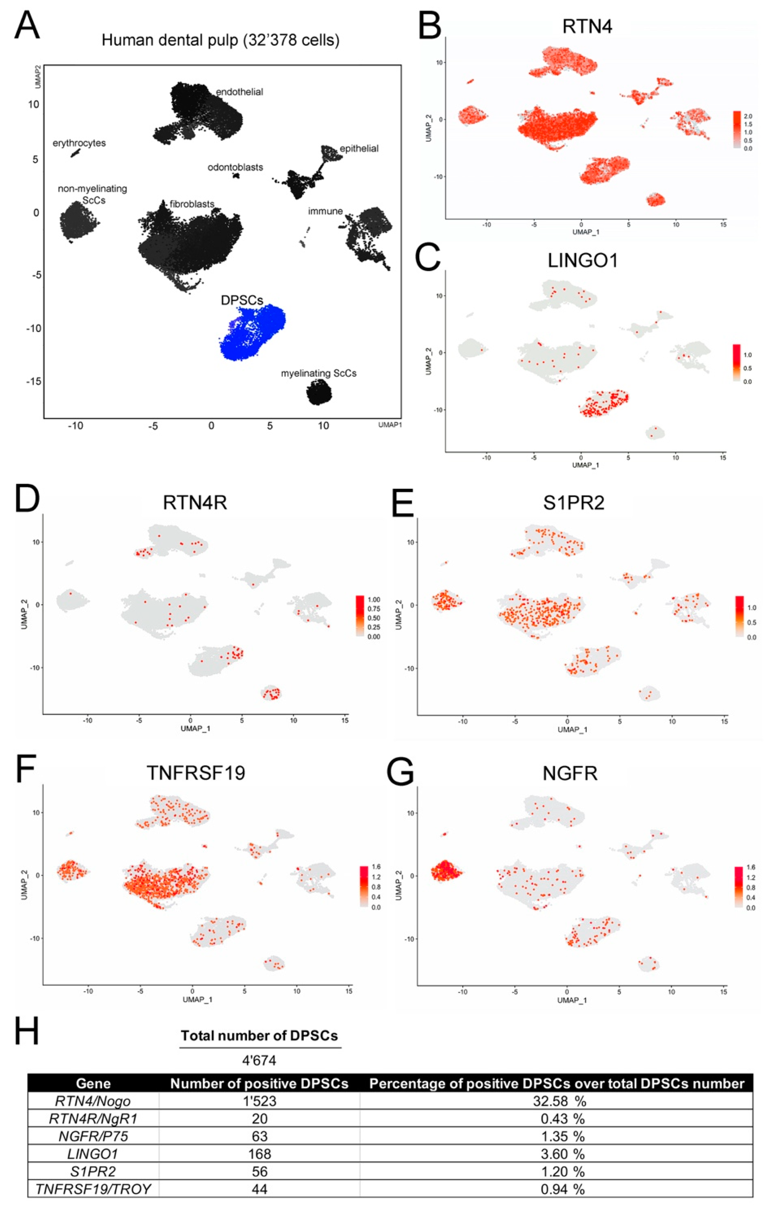 Cells 11 03415 g003 Cells 11 03415 g003