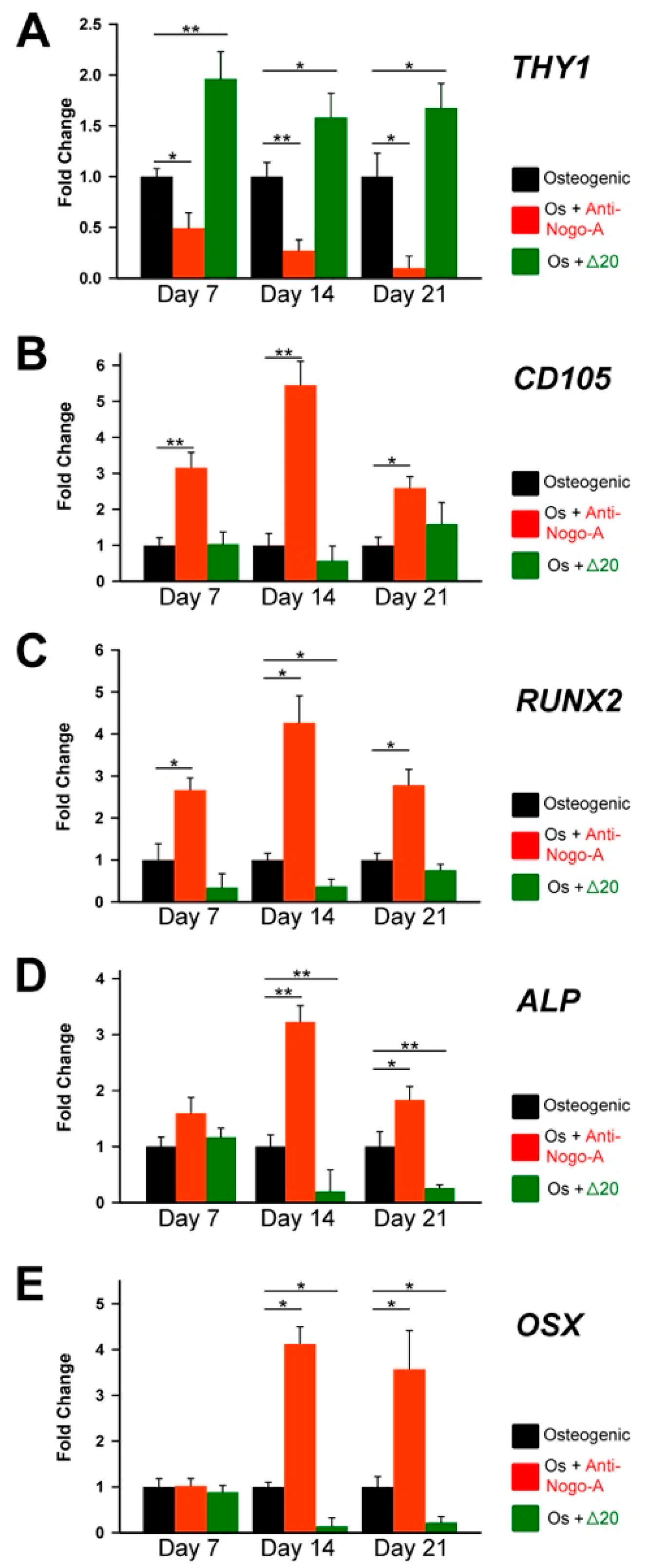 Cells 11 03415 g005 Cells 11 03415 g005