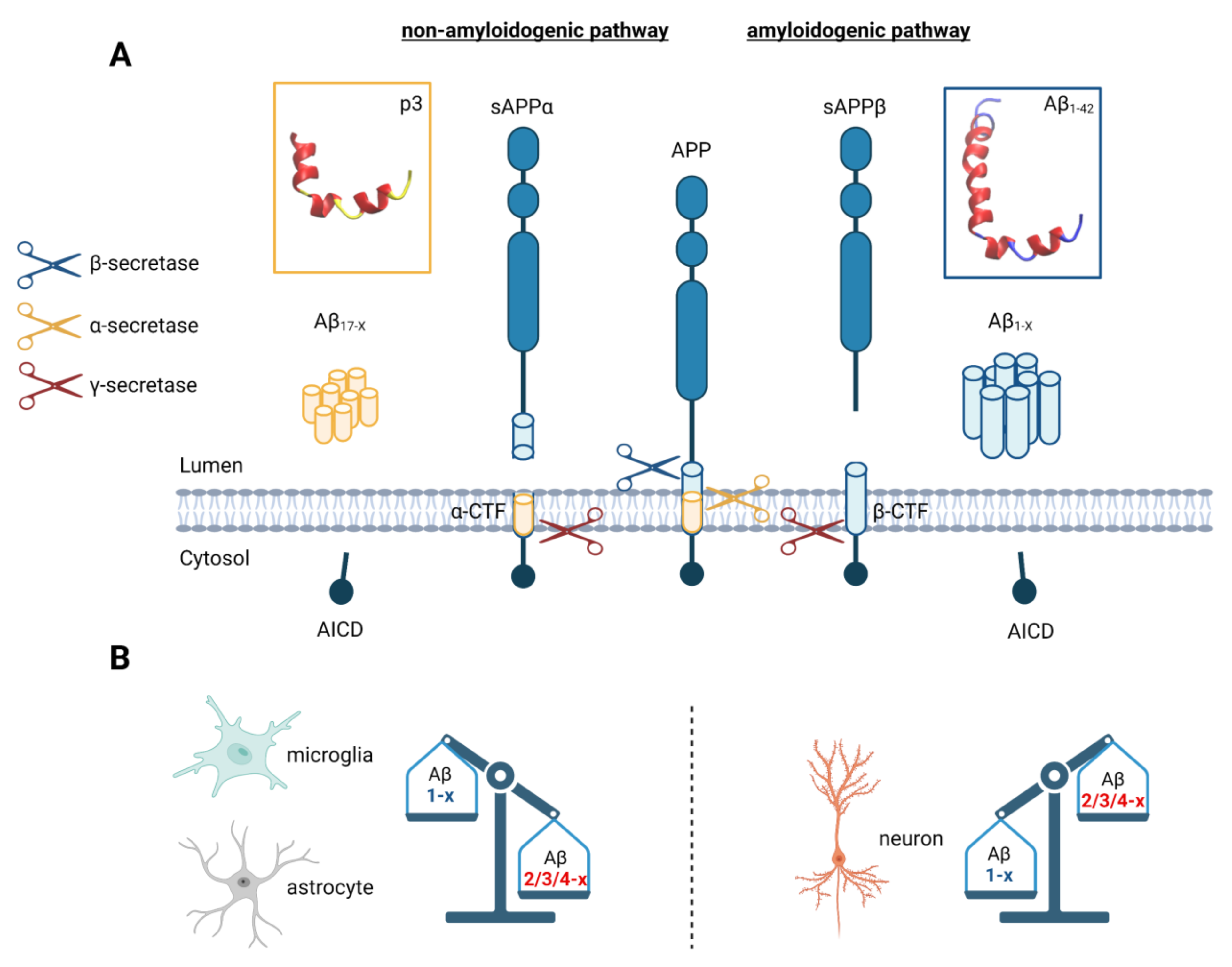Cells 11 03421 g003 Cells 11 03421 g003