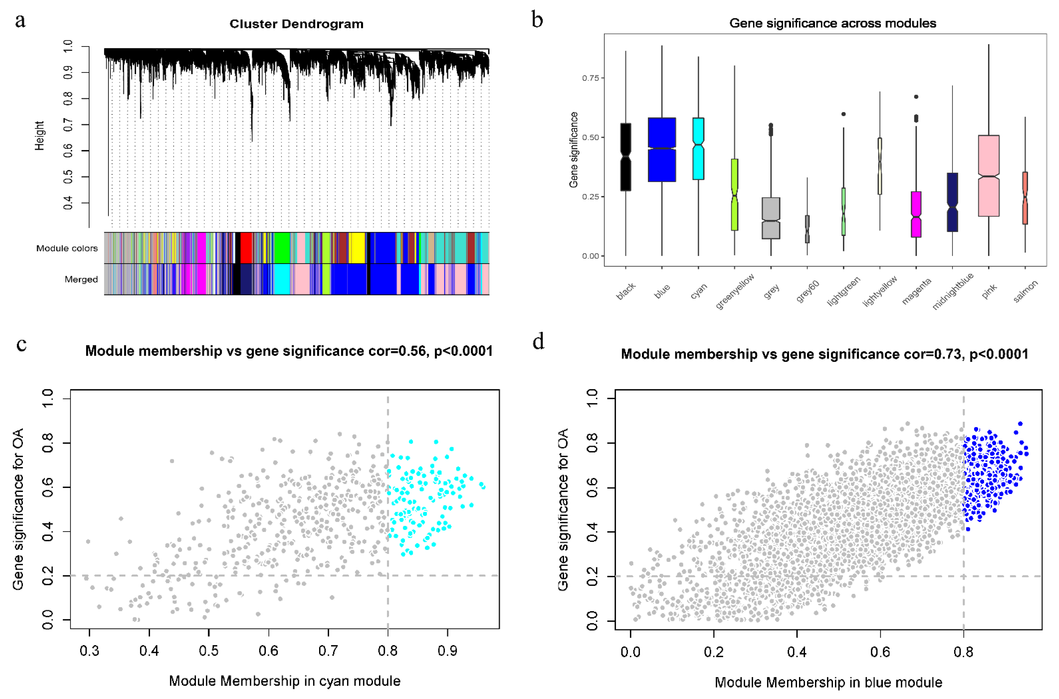 Cells 11 03430 g004 Cells 11 03430 g004