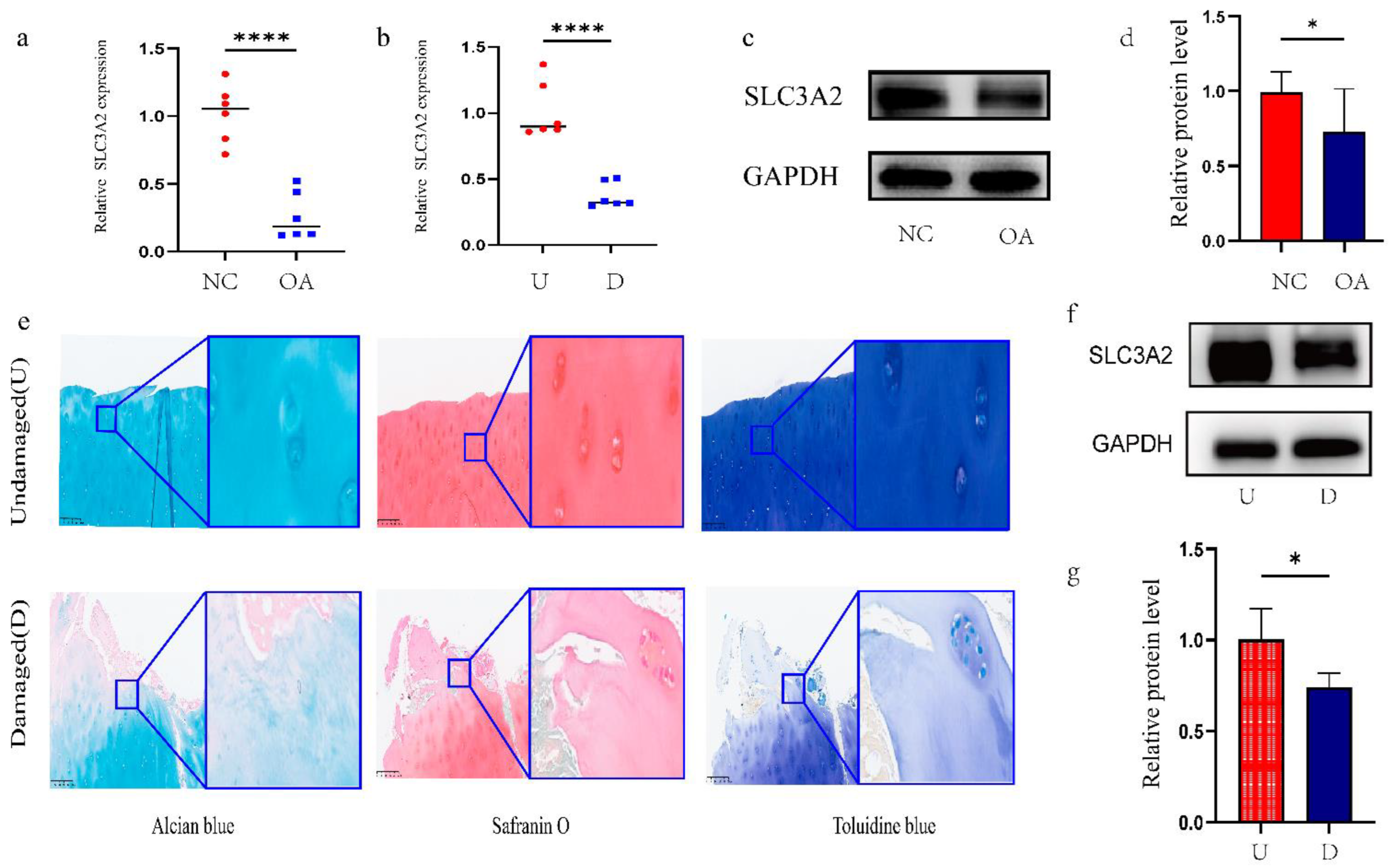 Cells 11 03430 g005 Cells 11 03430 g005