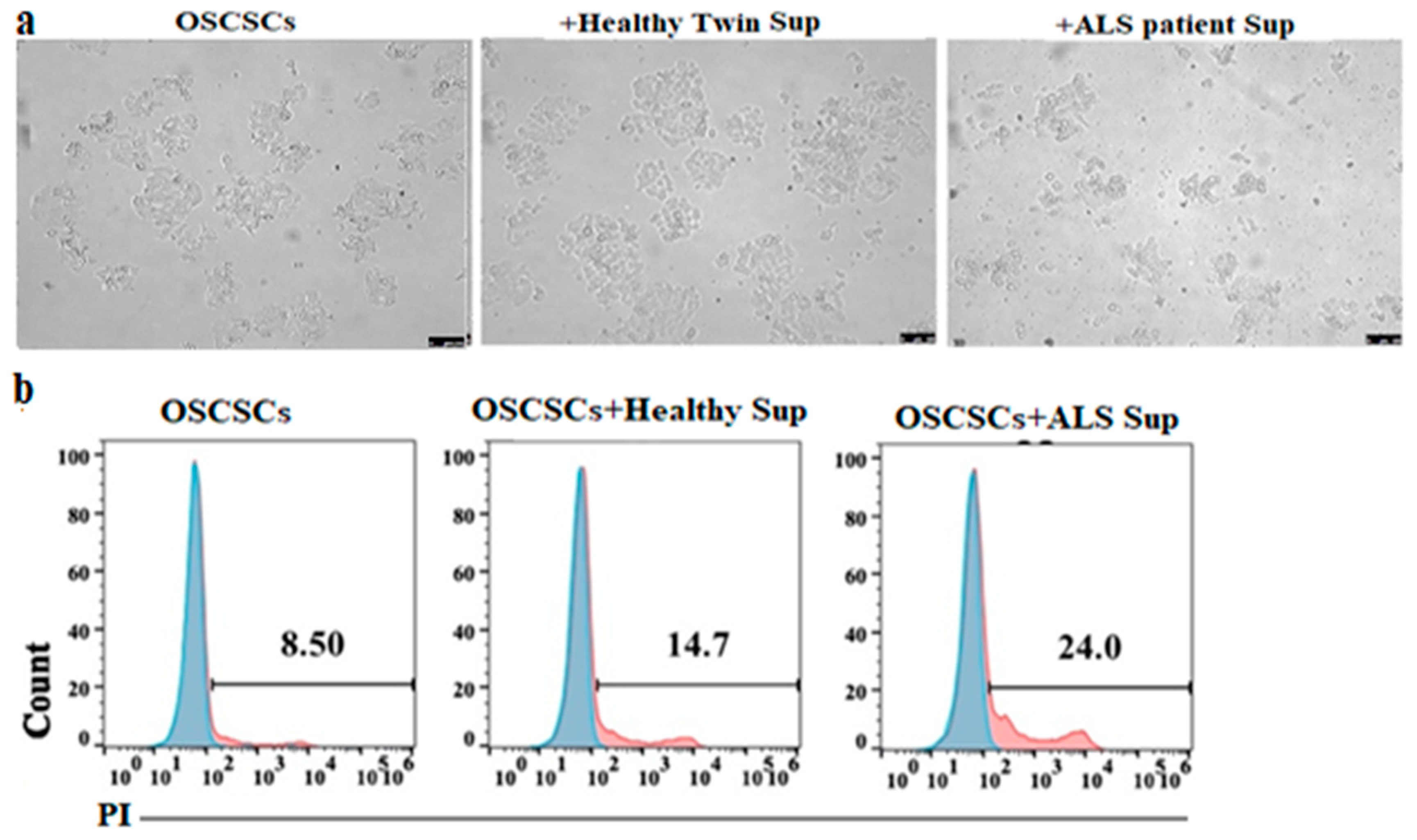 Cells 11 03431 g007 Cells 11 03431 g007