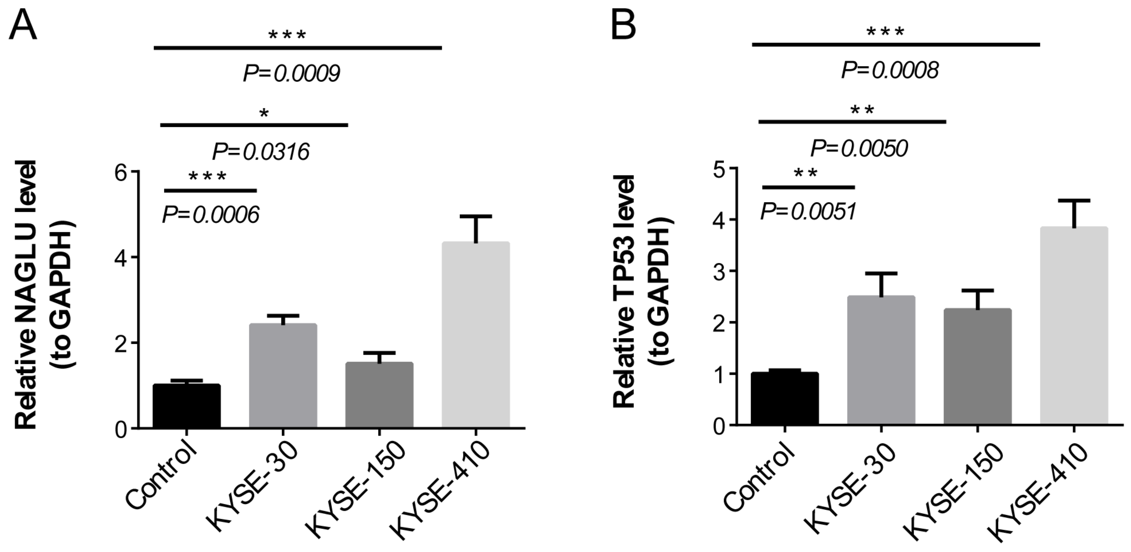Cells 11 03432 g008 Cells 11 03432 g008