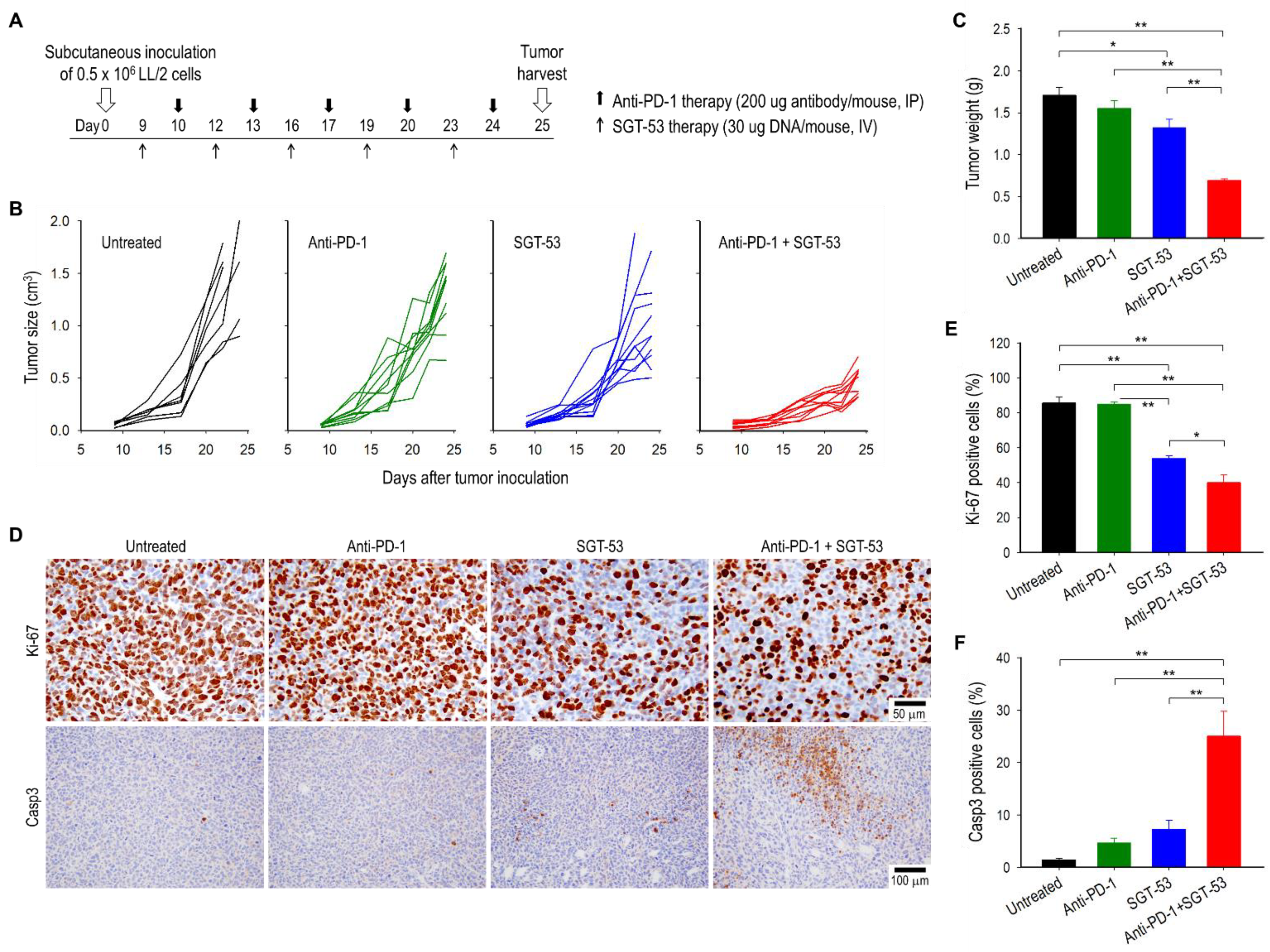 Cells 11 03434 g001 Cells 11 03434 g001
