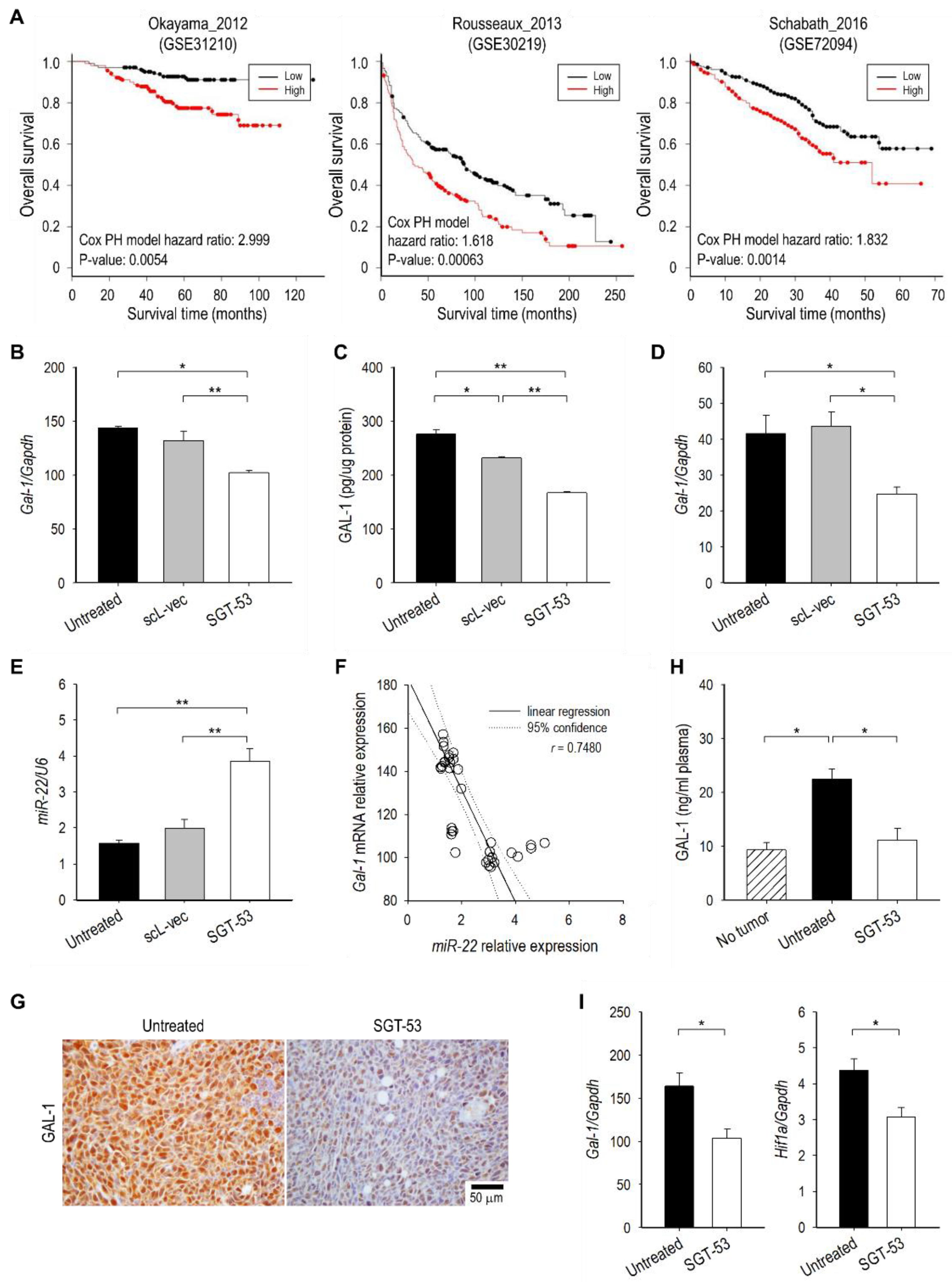 Cells 11 03434 g006 Cells 11 03434 g006