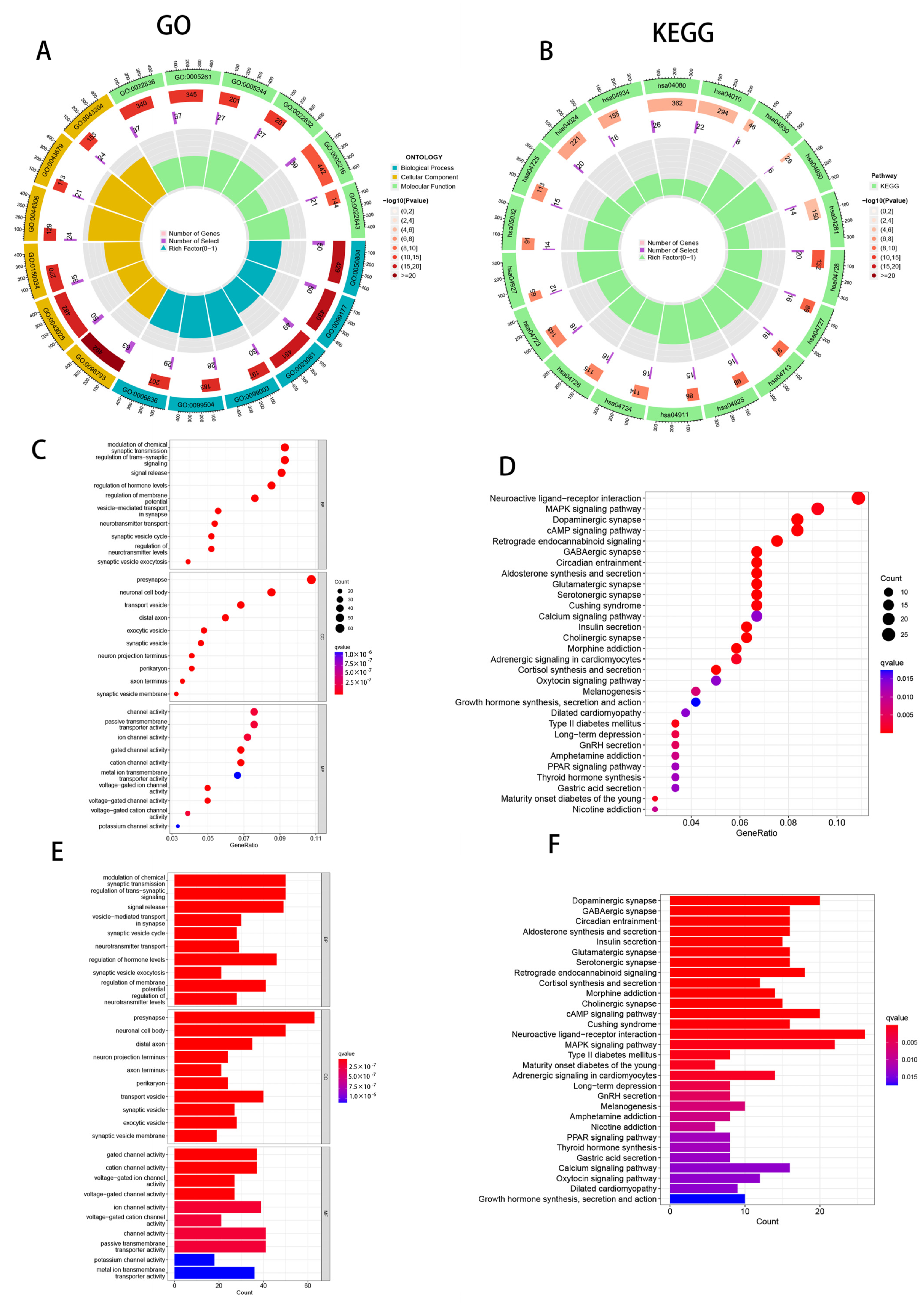 Cells 11 03436 g009 Cells 11 03436 g009