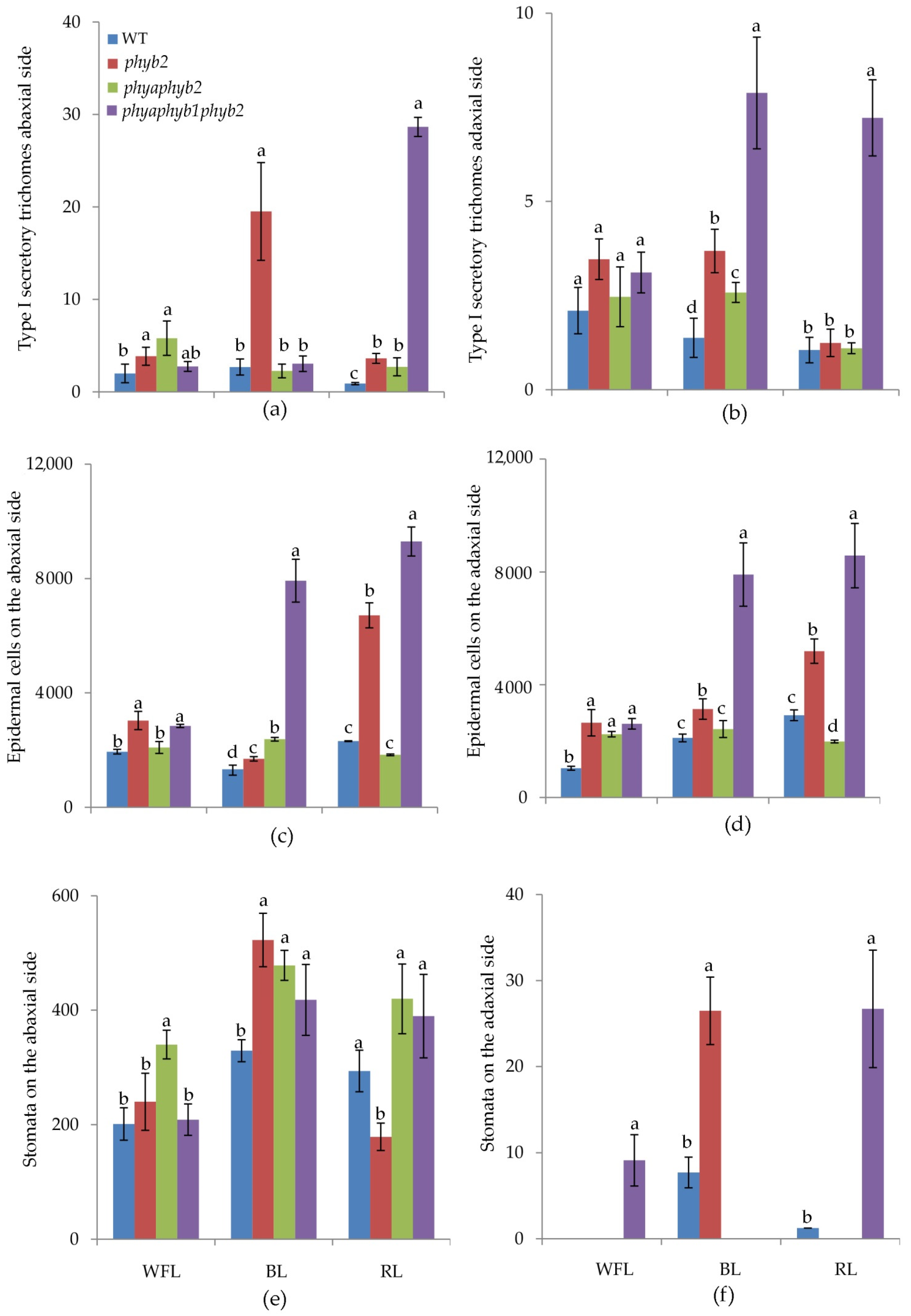 Cells 11 03437 g002 Cells 11 03437 g002