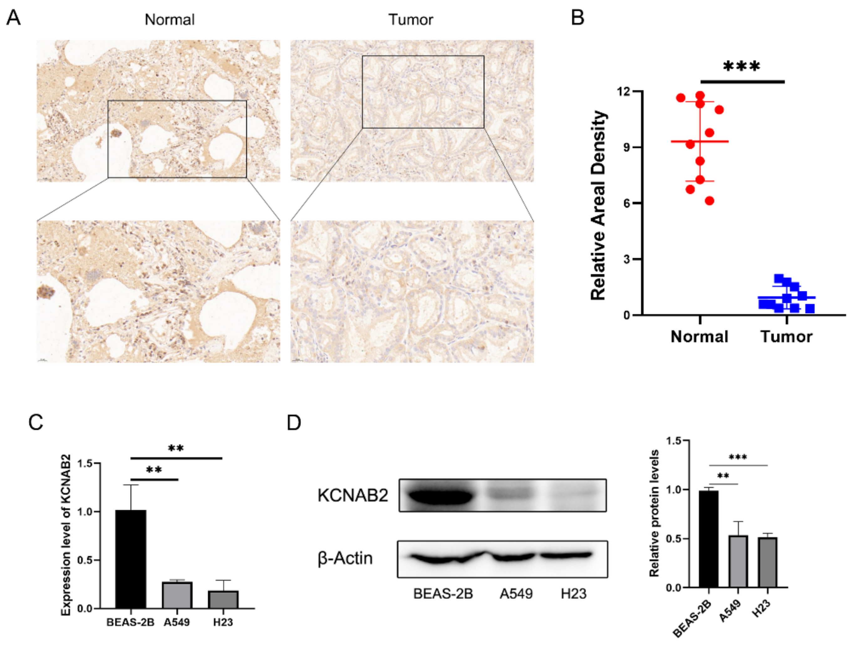 Cells 11 03438 g002 Cells 11 03438 g002
