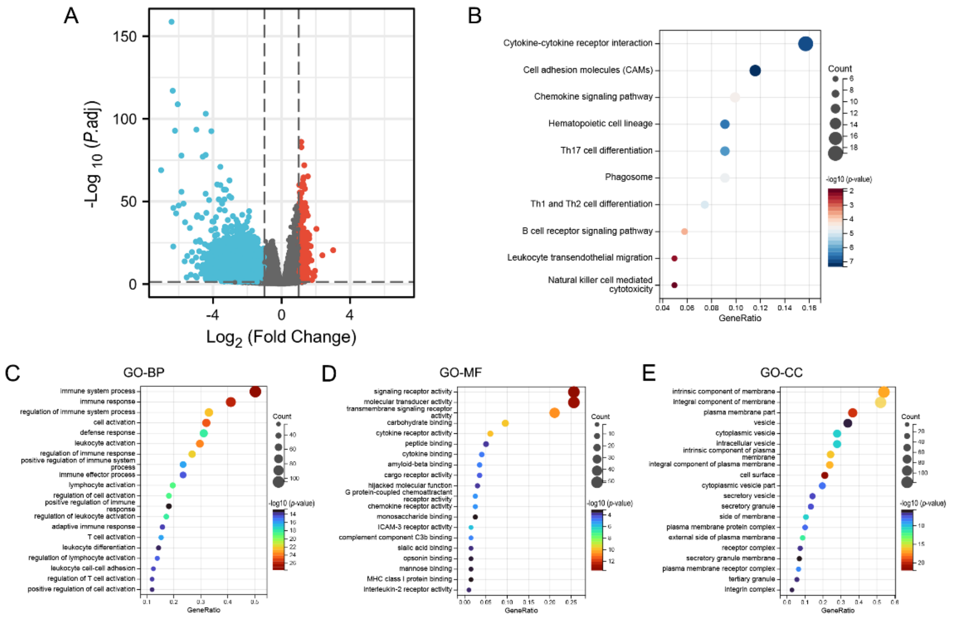 Cells 11 03438 g006 Cells 11 03438 g006