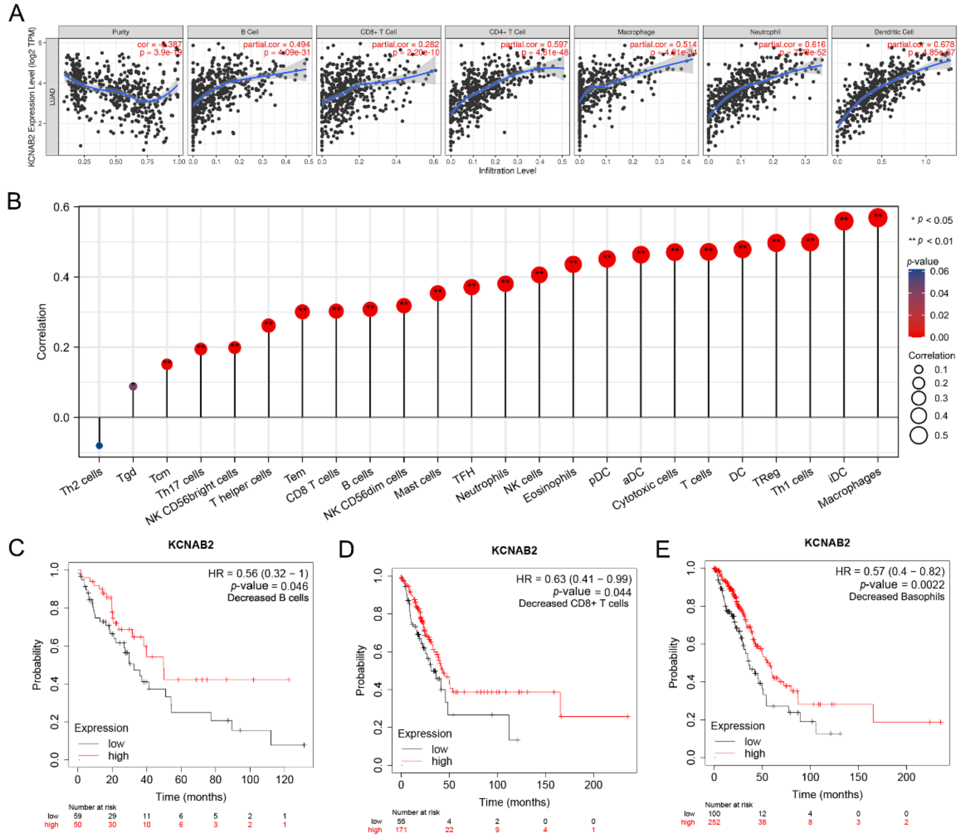 Cells 11 03438 g008 Cells 11 03438 g008