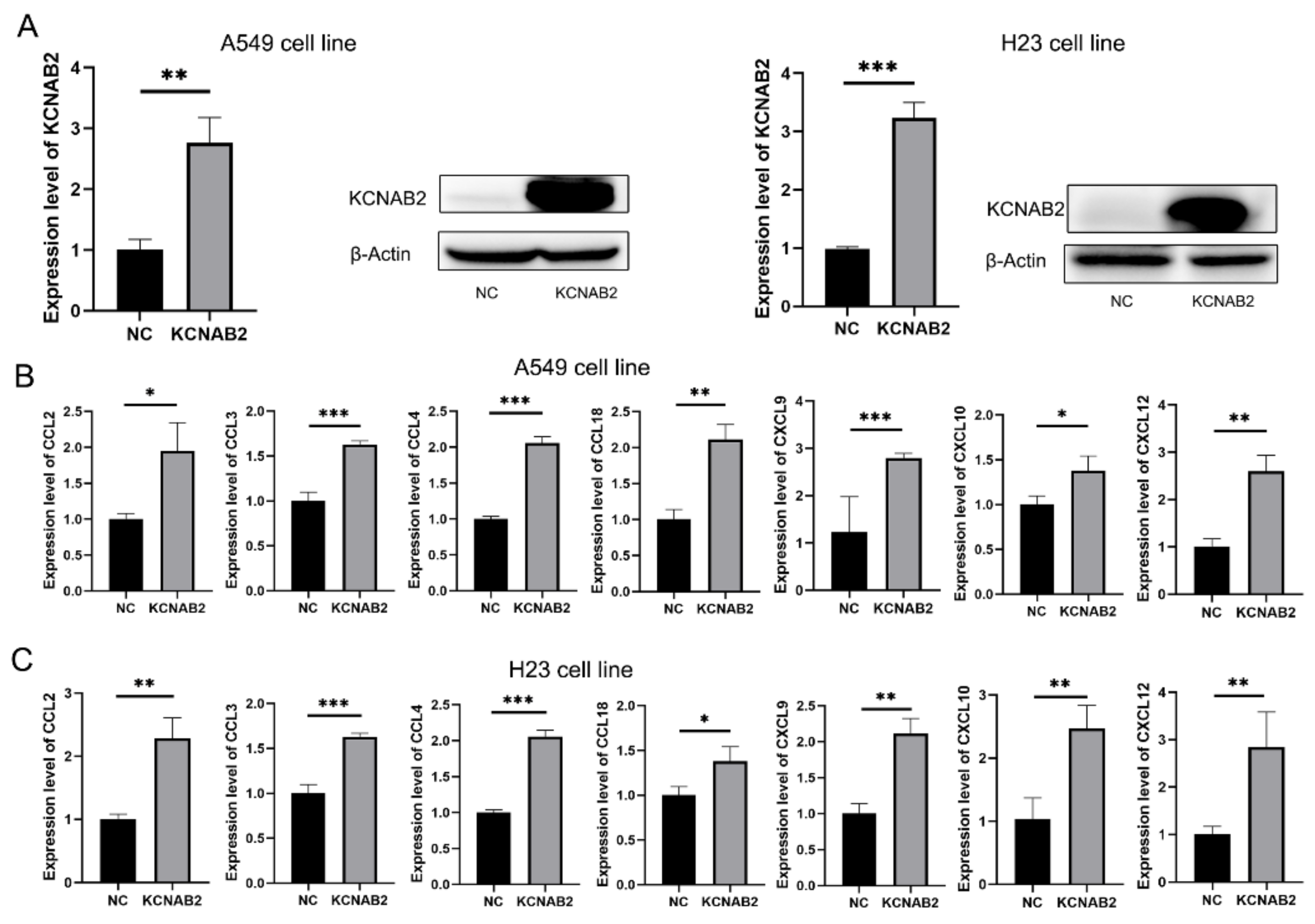 Cells 11 03438 g009 Cells 11 03438 g009