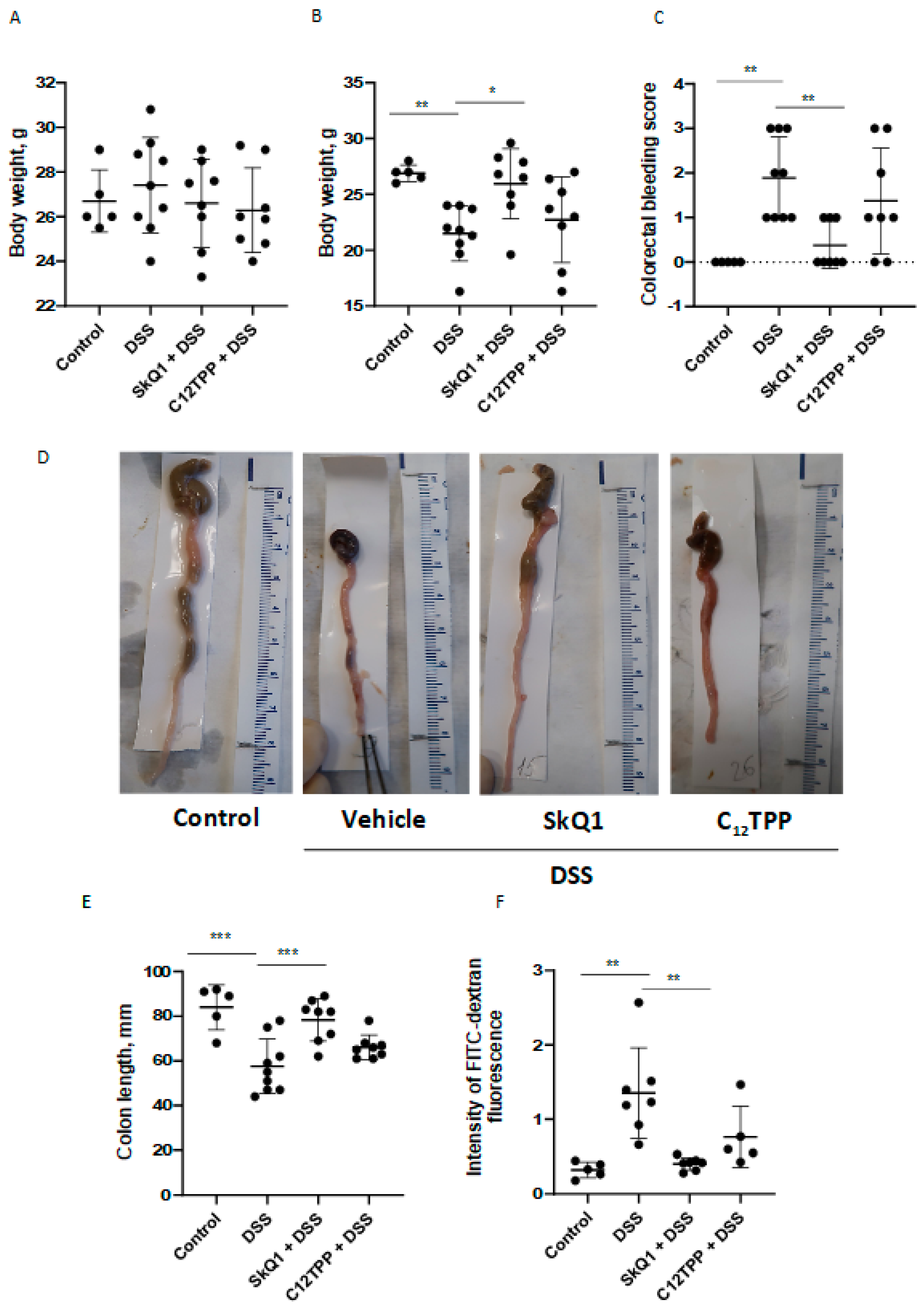 Cells 11 03441 g001 Cells 11 03441 g001