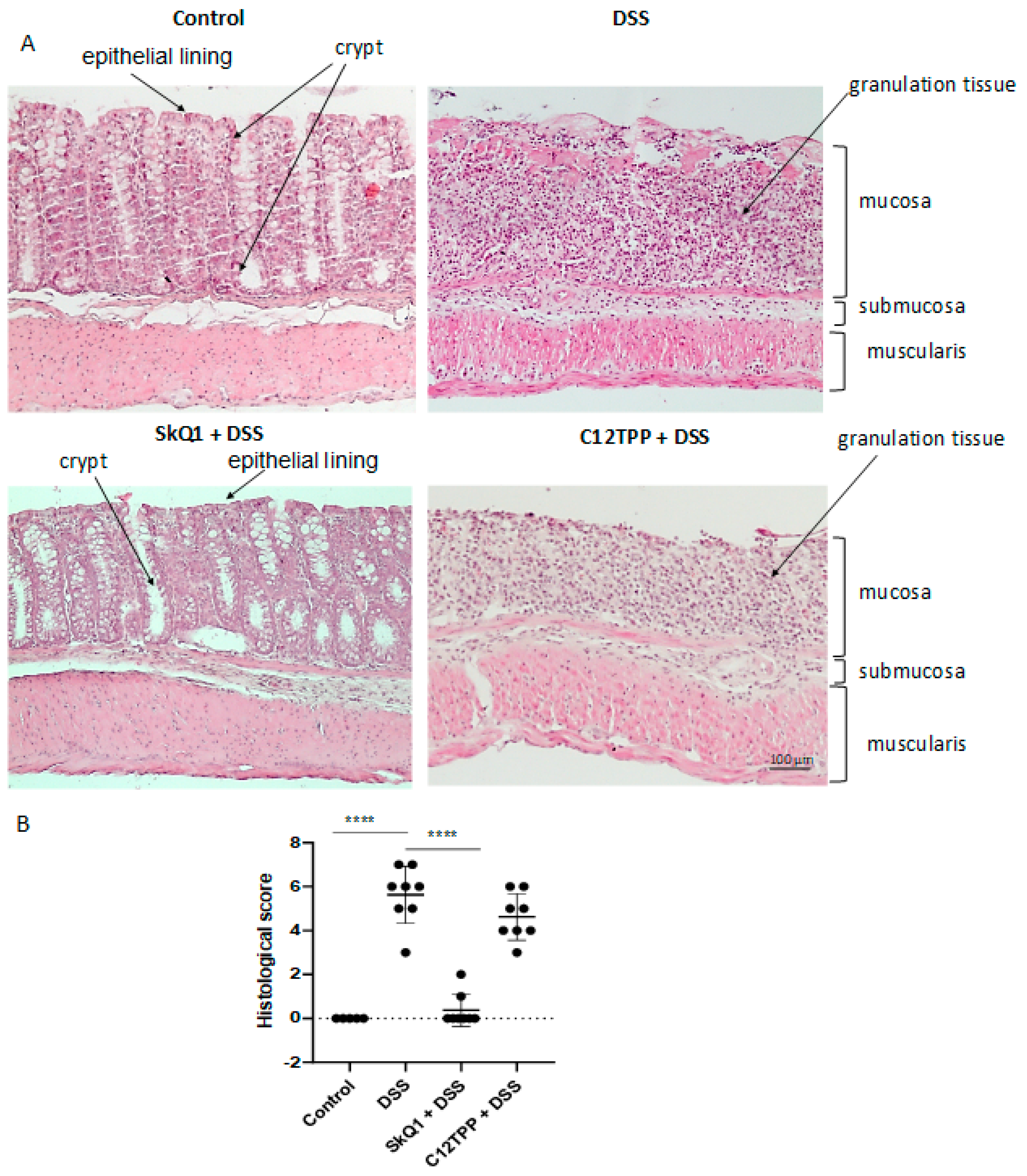 Cells 11 03441 g002 Cells 11 03441 g002