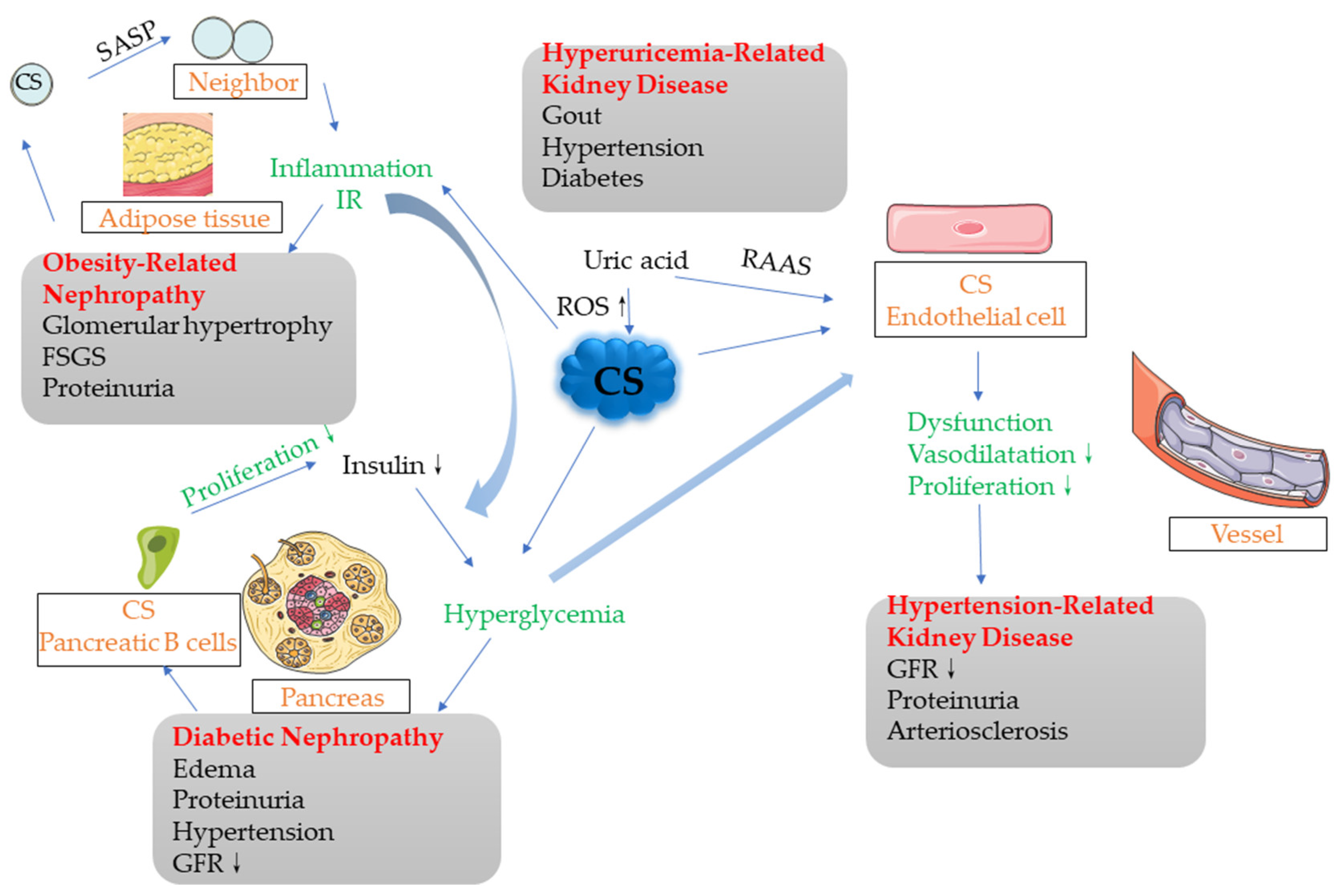 Cells 11 03443 g002 Cells 11 03443 g002