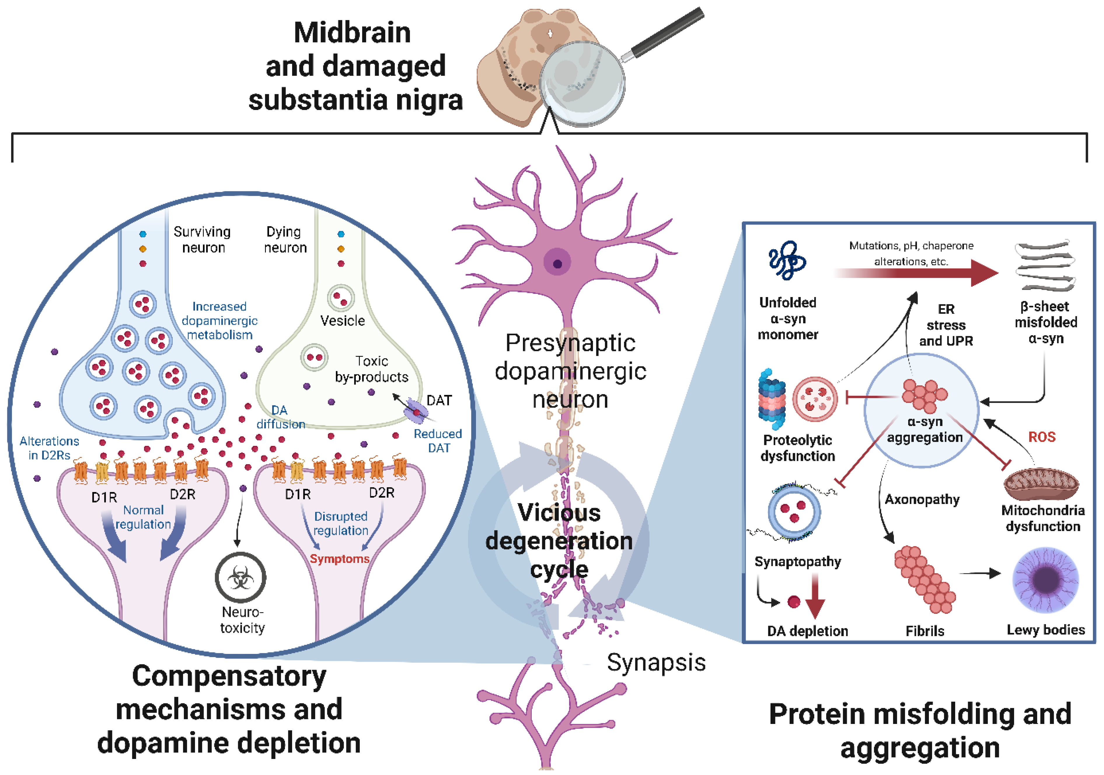Cells 11 03445 g002 Cells 11 03445 g002